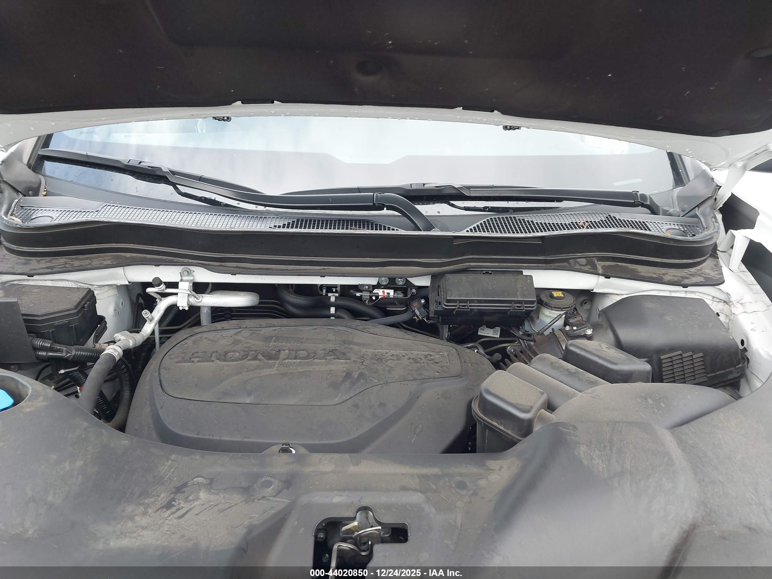 HONDA PASSPORT image 10