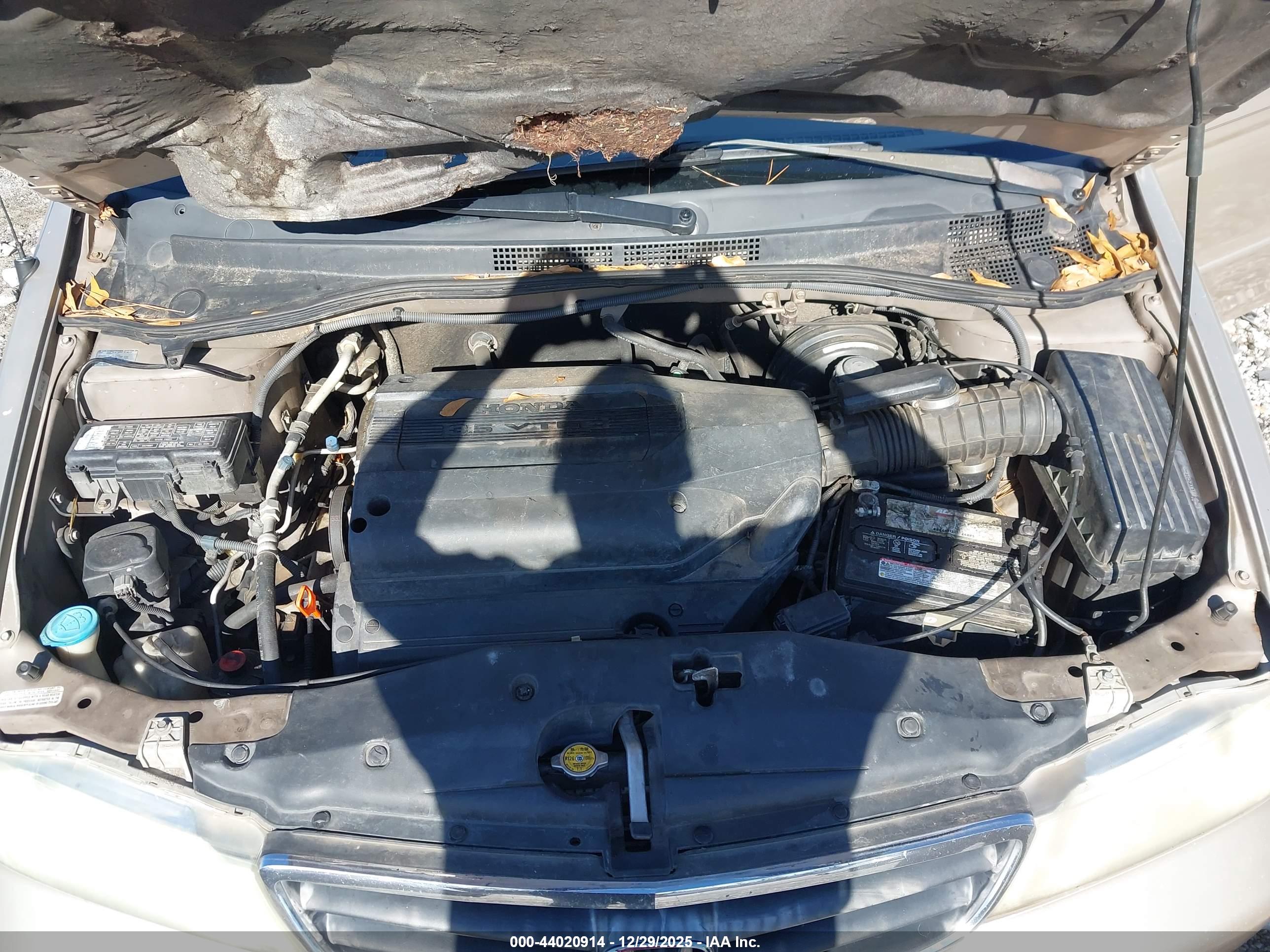 HONDA ODYSSEY image 10