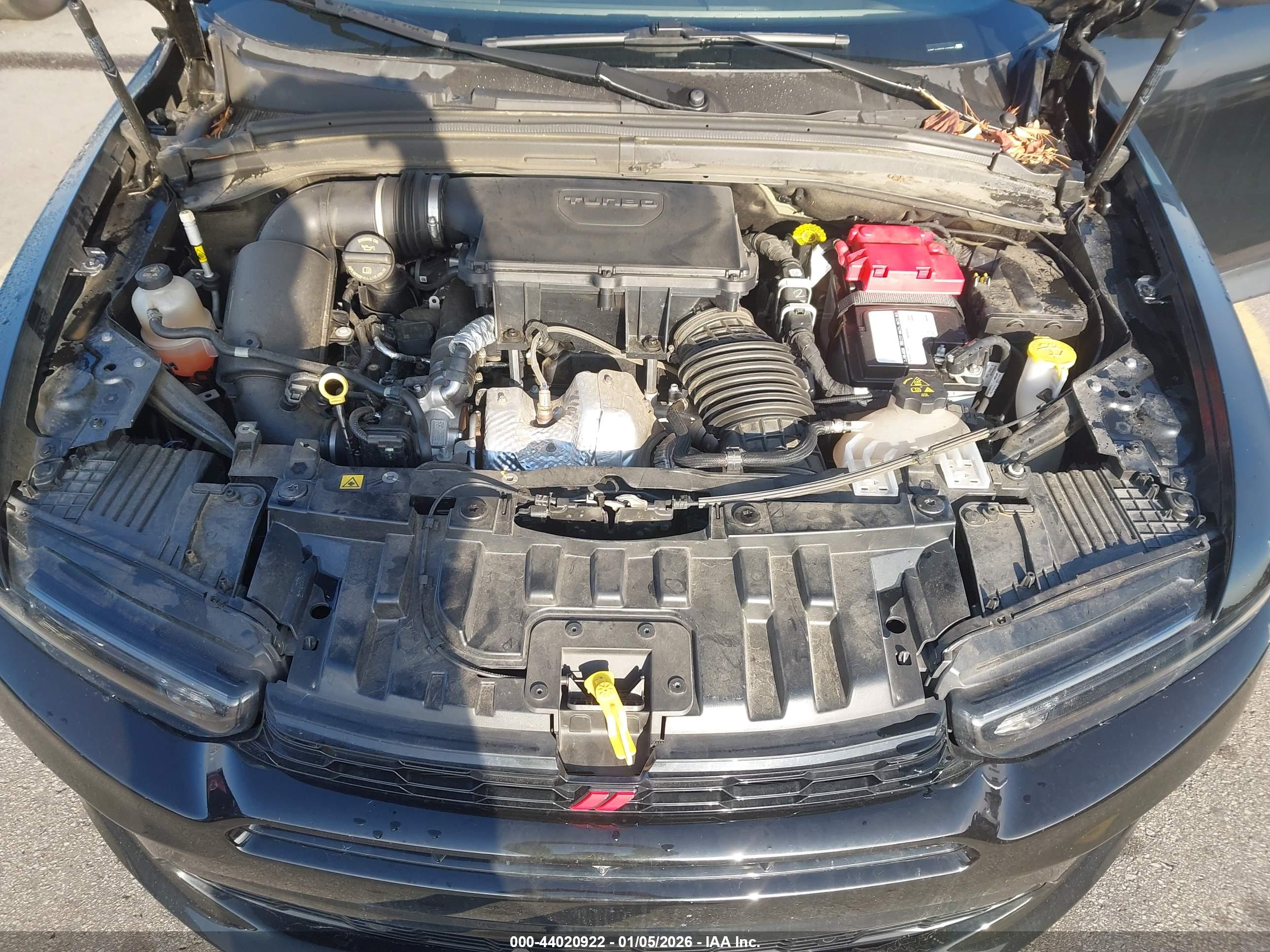 DODGE HORNET image 10