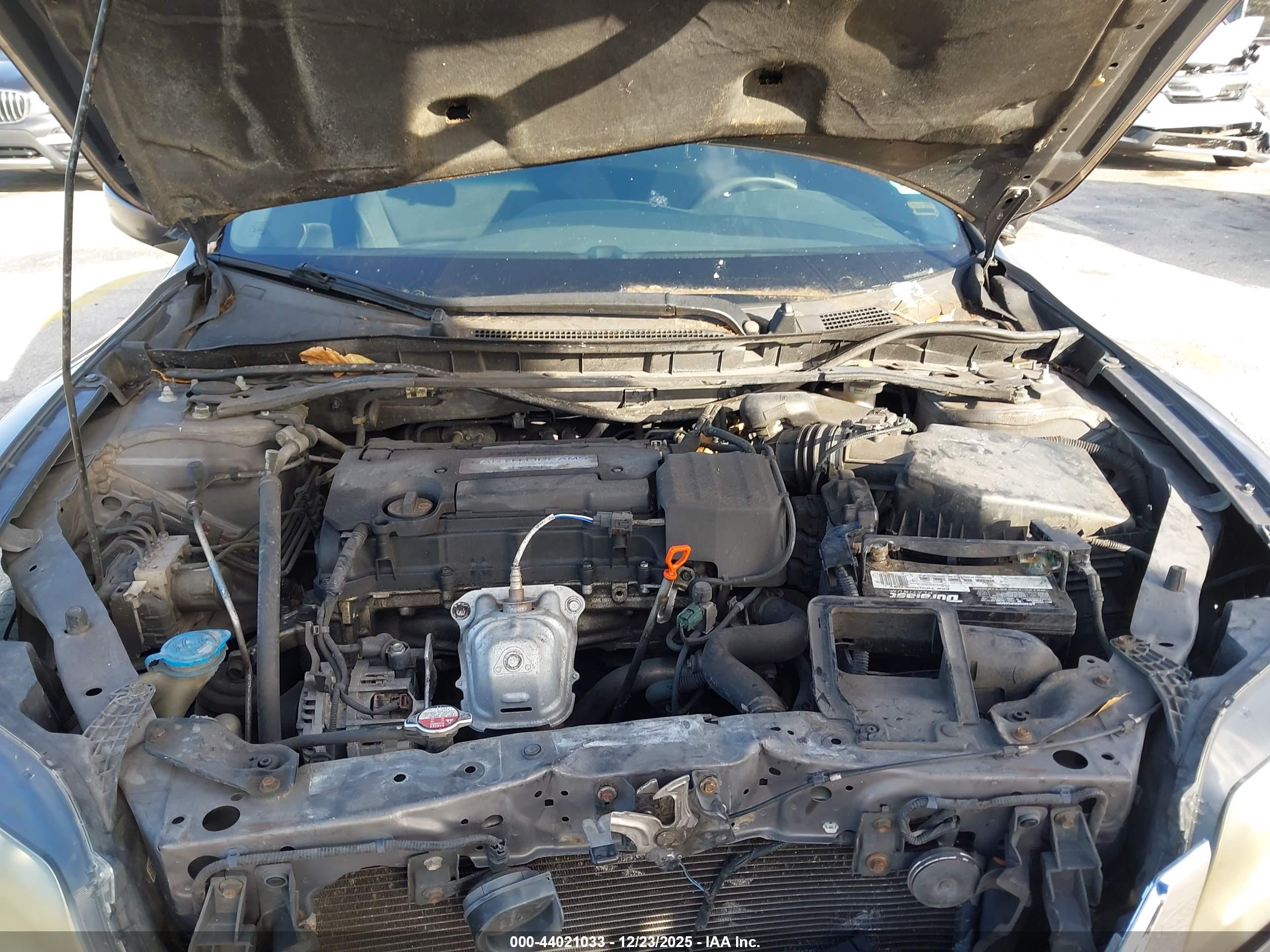 HONDA ACCORD image 10