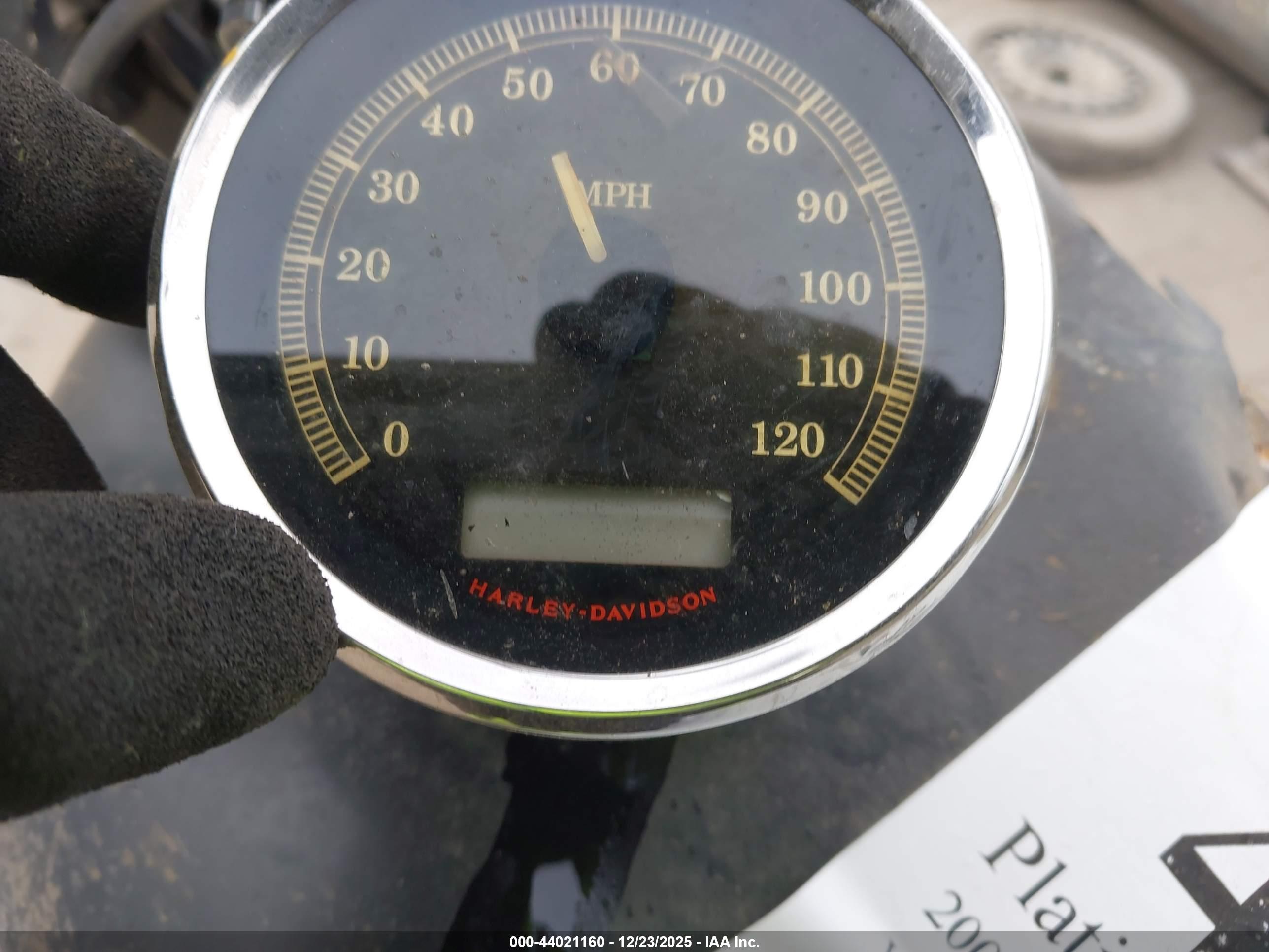 HARLEY-DAVIDSON XL1200 image 7