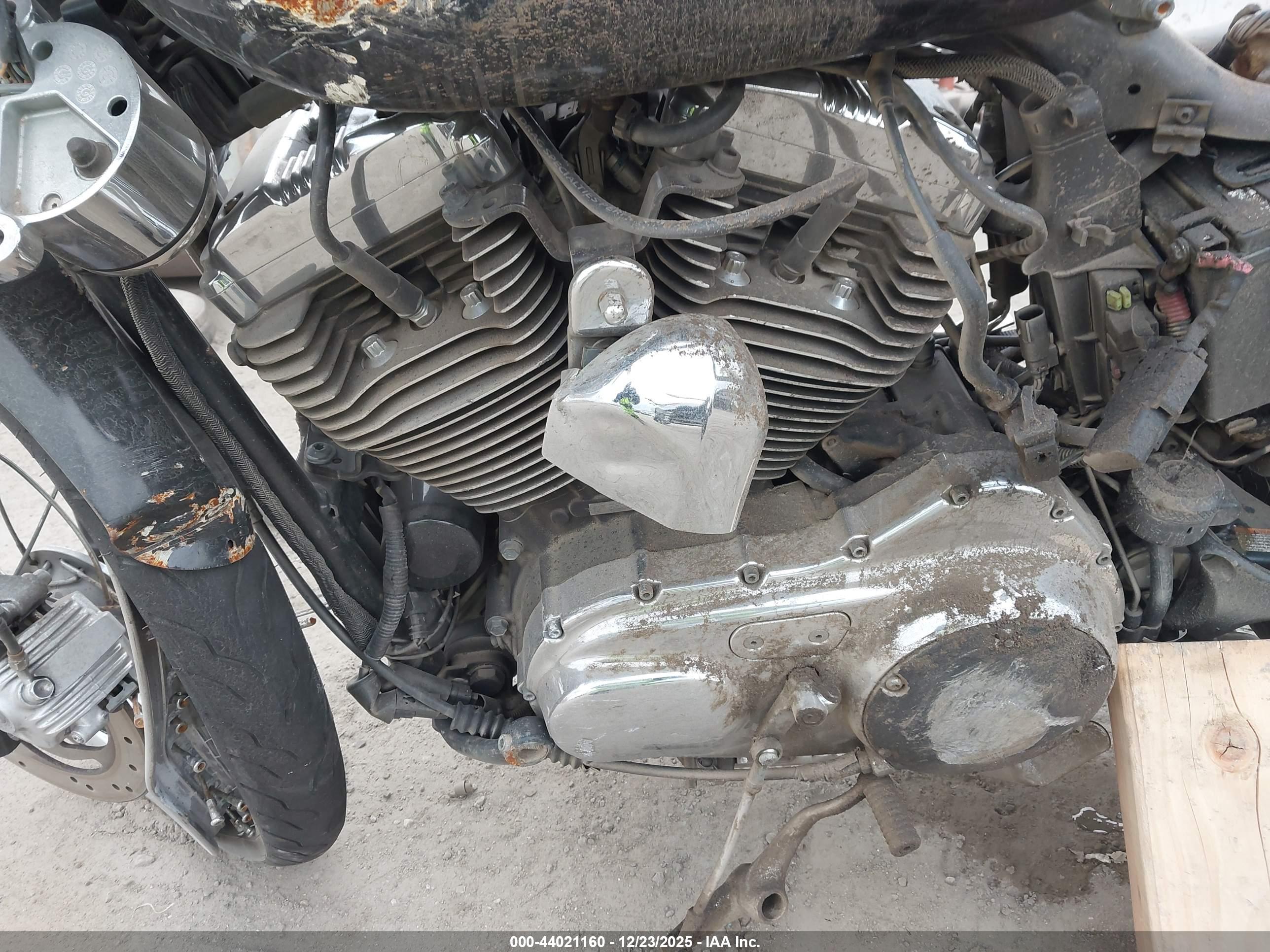 HARLEY-DAVIDSON XL1200 image 9