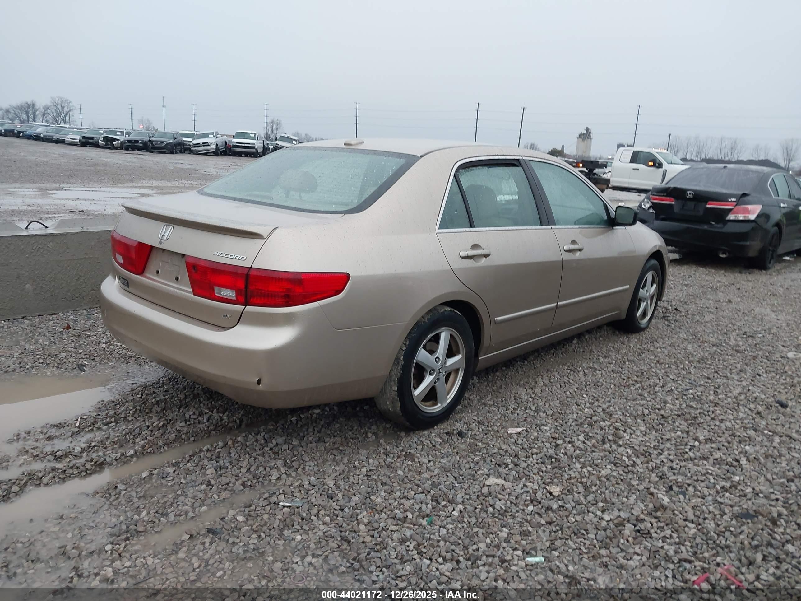 HONDA ACCORD image 4
