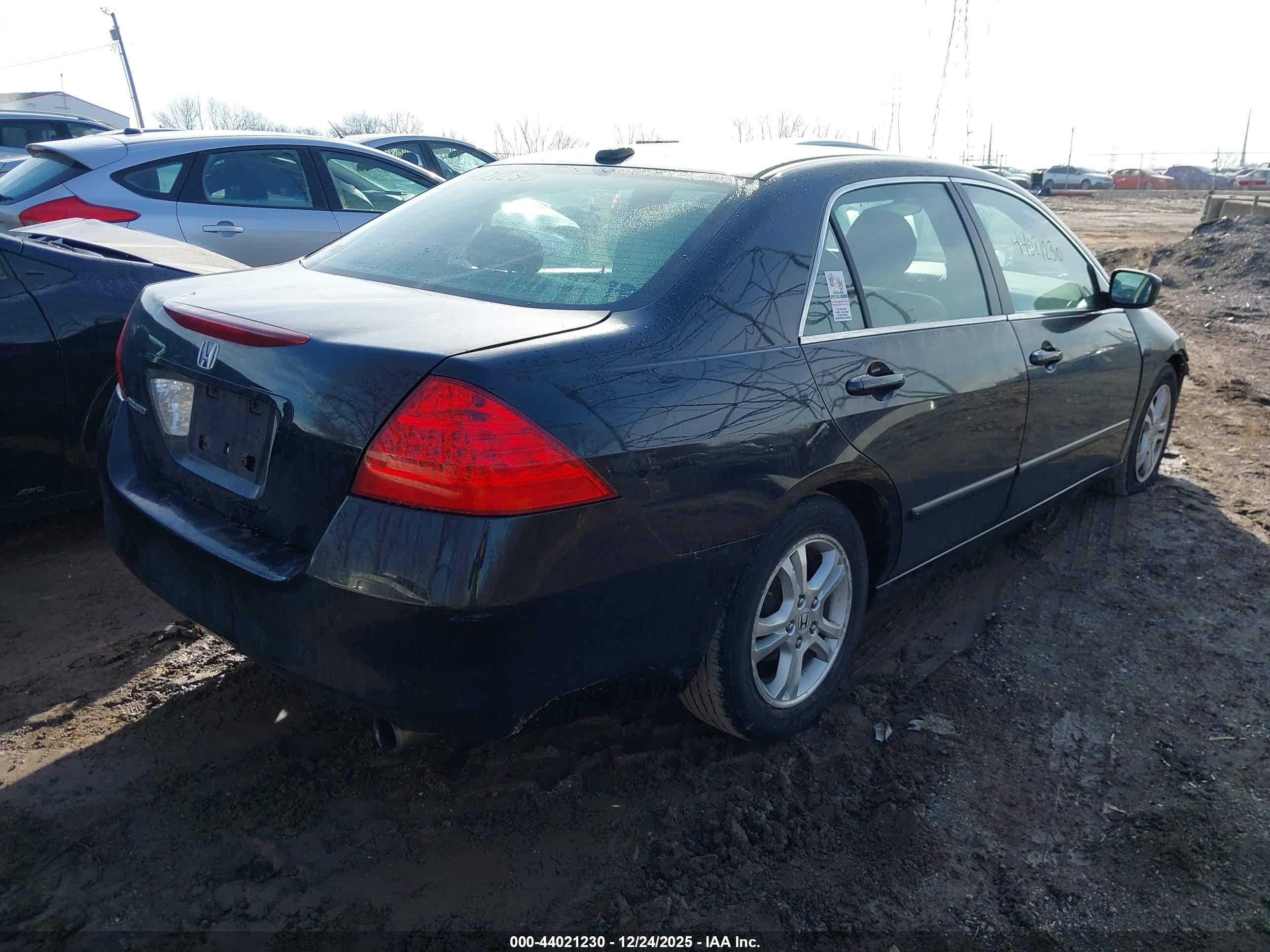 HONDA ACCORD image 4