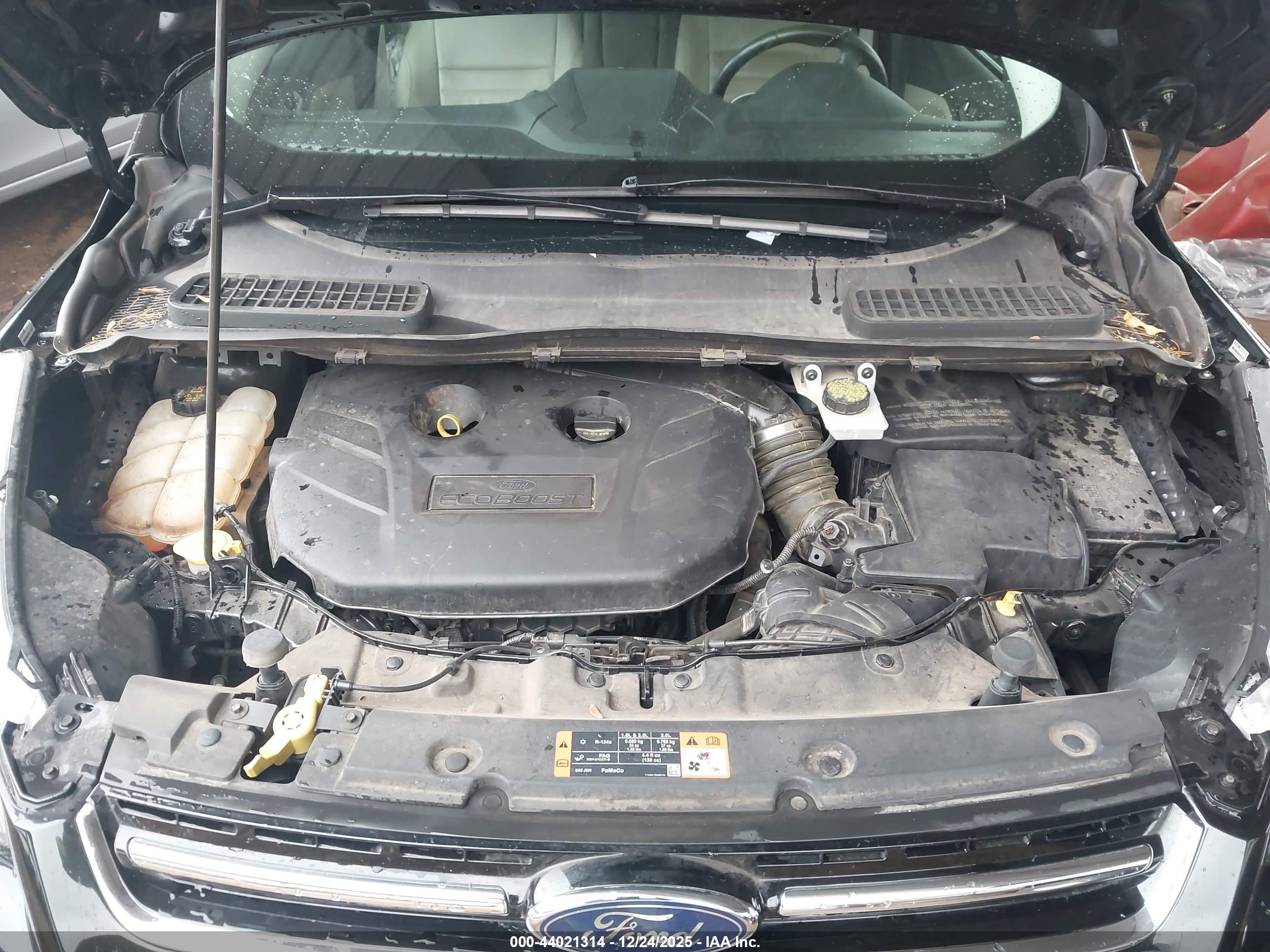FORD ESCAPE image 10