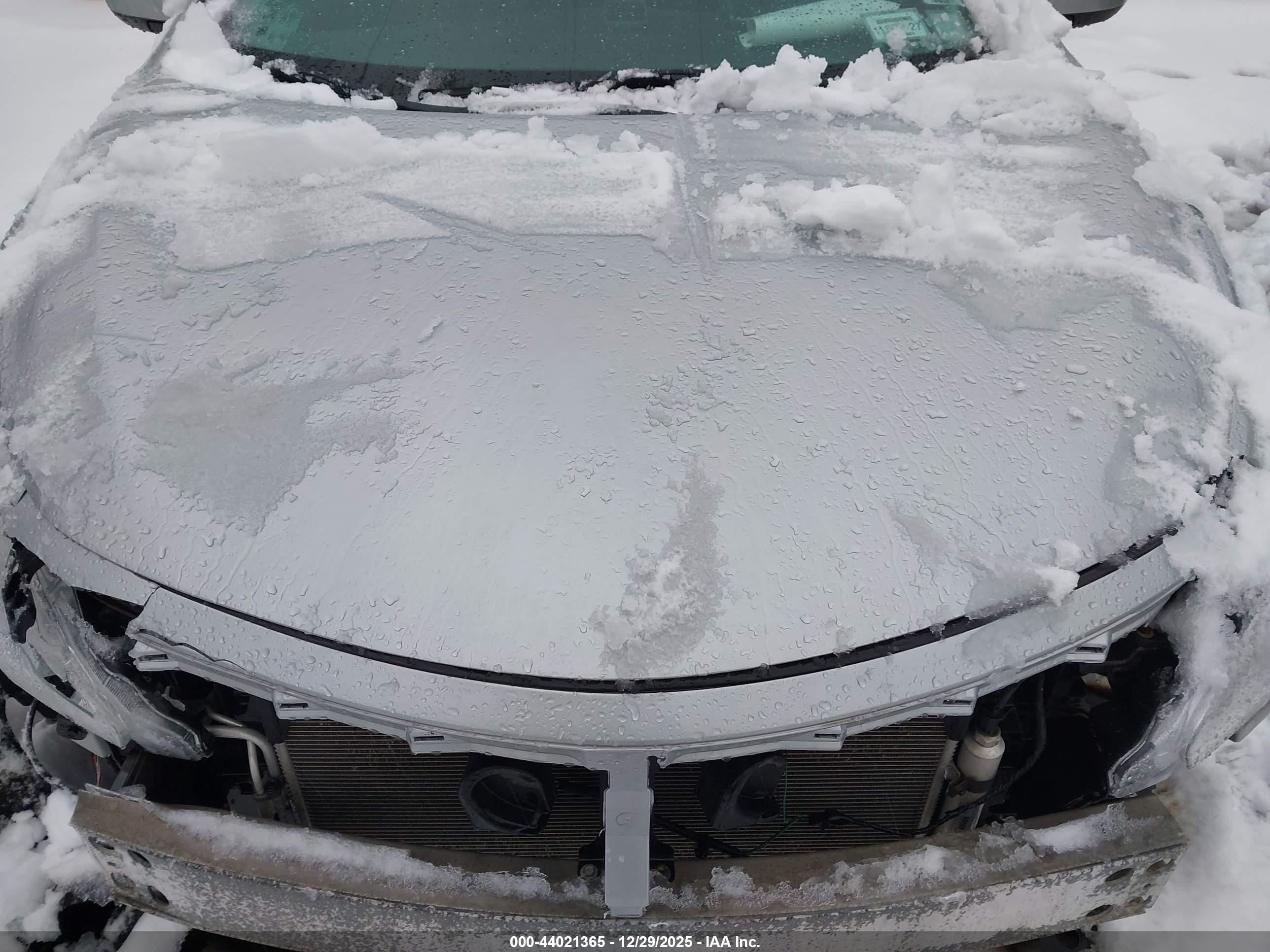 NISSAN ALTIMA image 10
