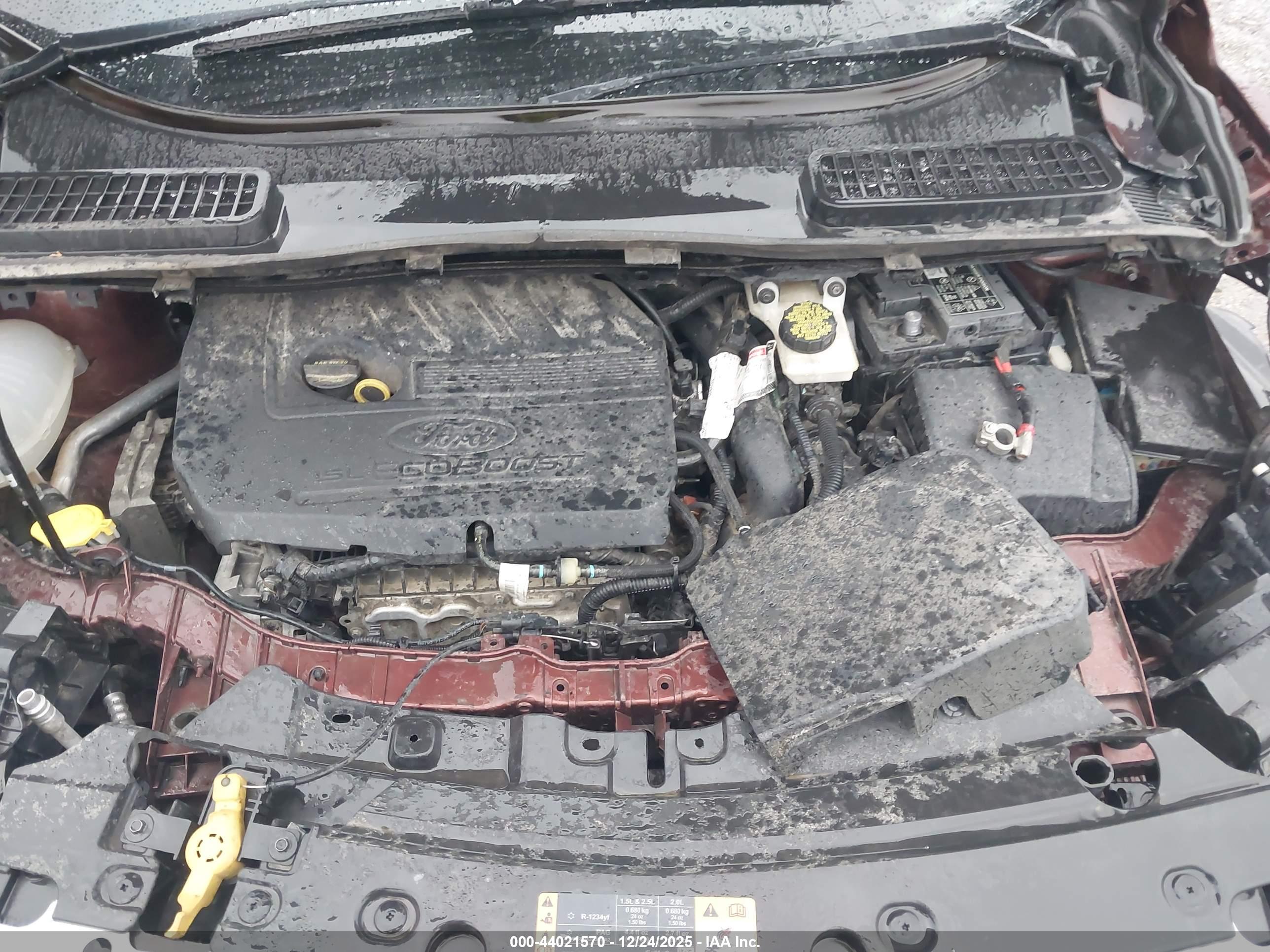 FORD ESCAPE image 10