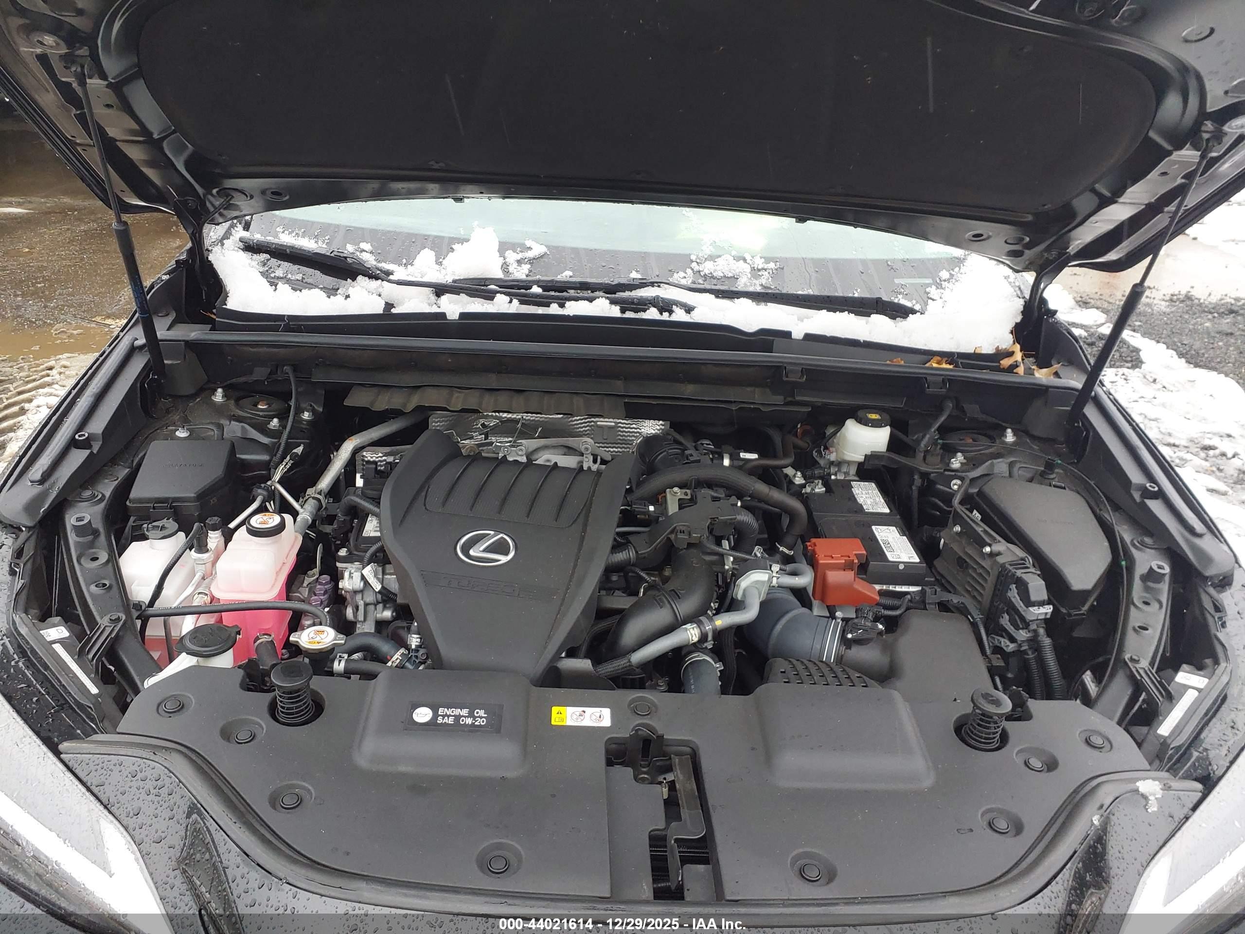 LEXUS NX image 10