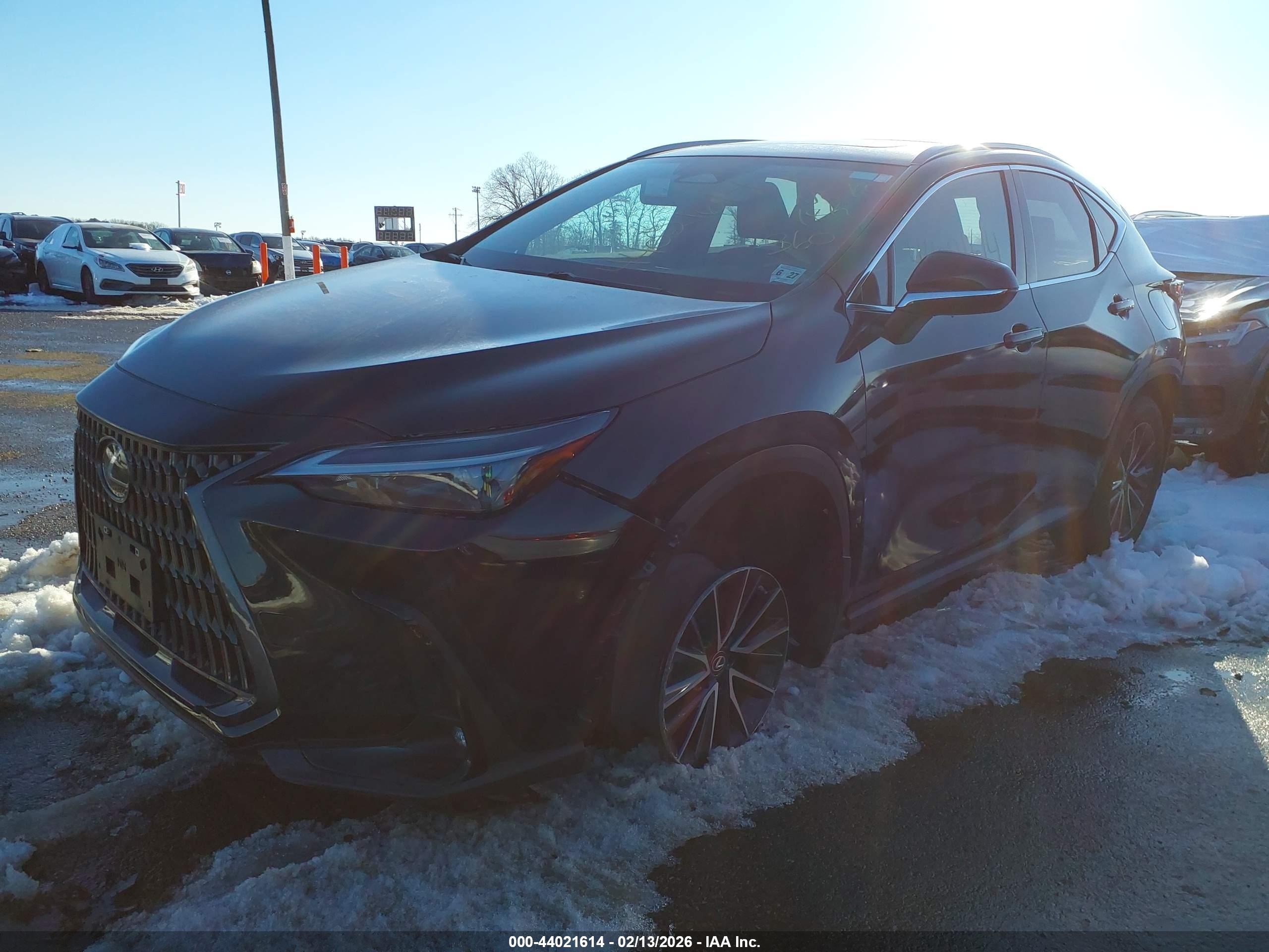 LEXUS NX image 6