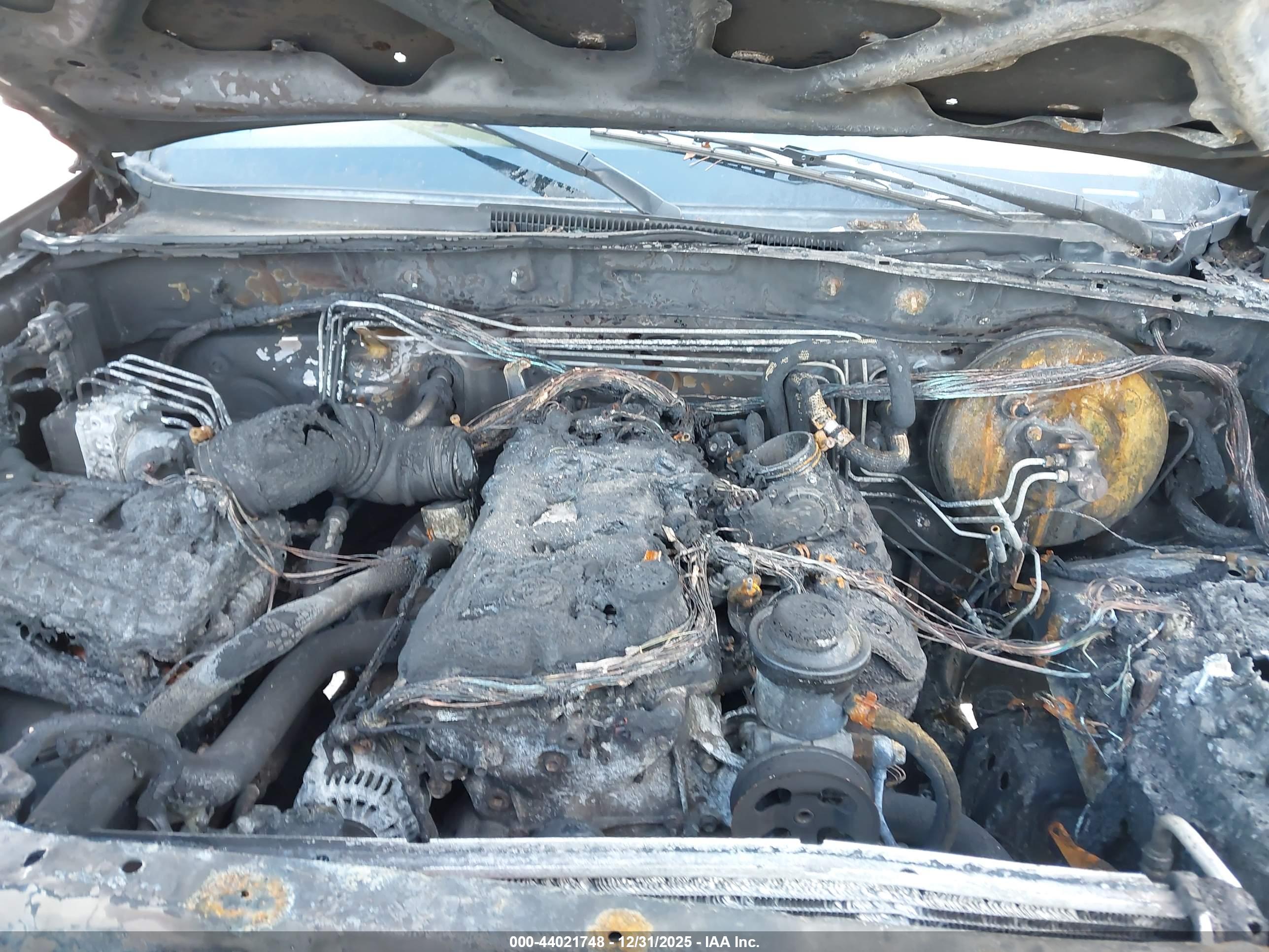 TOYOTA TACOMA image 10