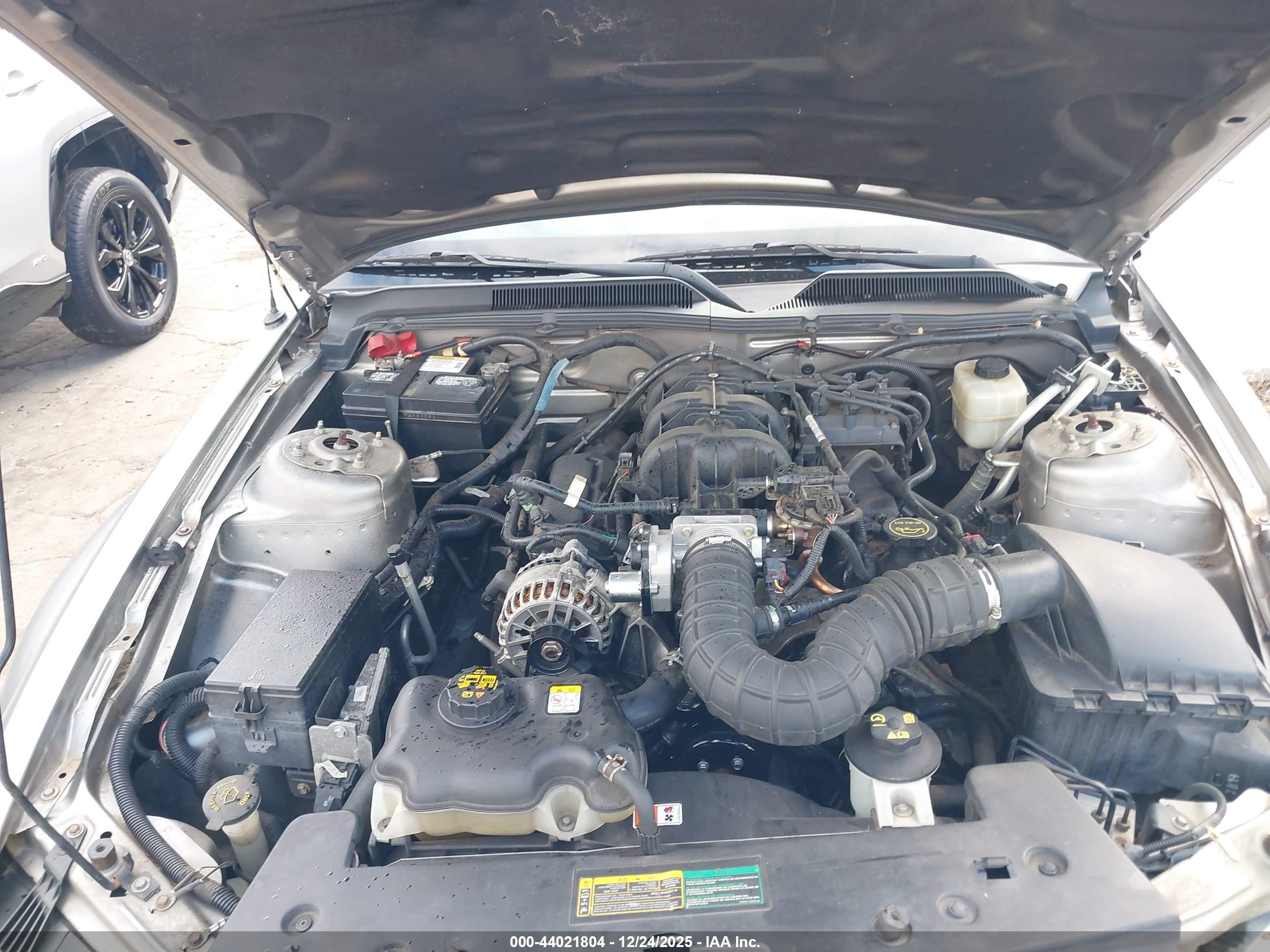 FORD MUSTANG image 10