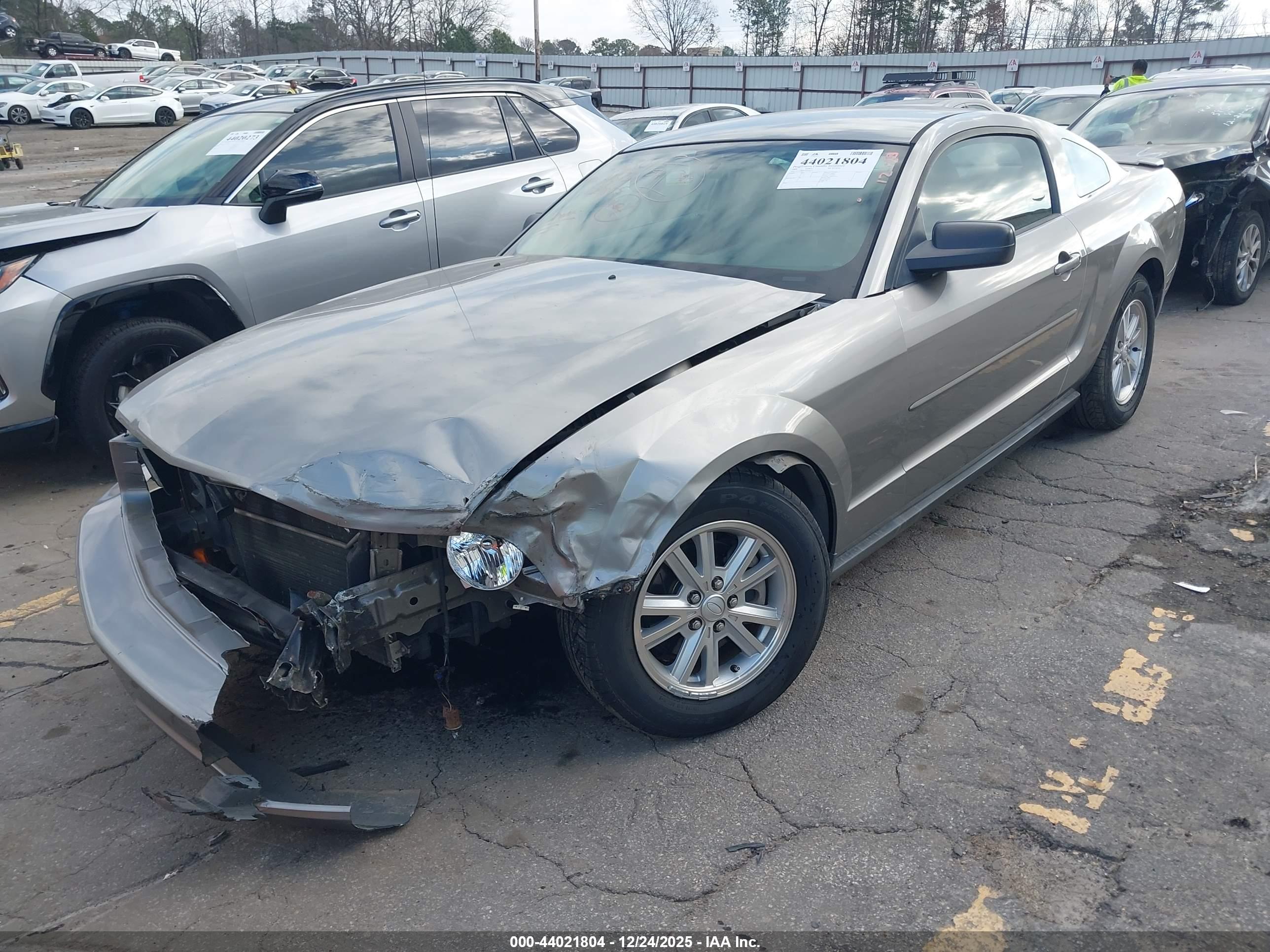 FORD MUSTANG image 2