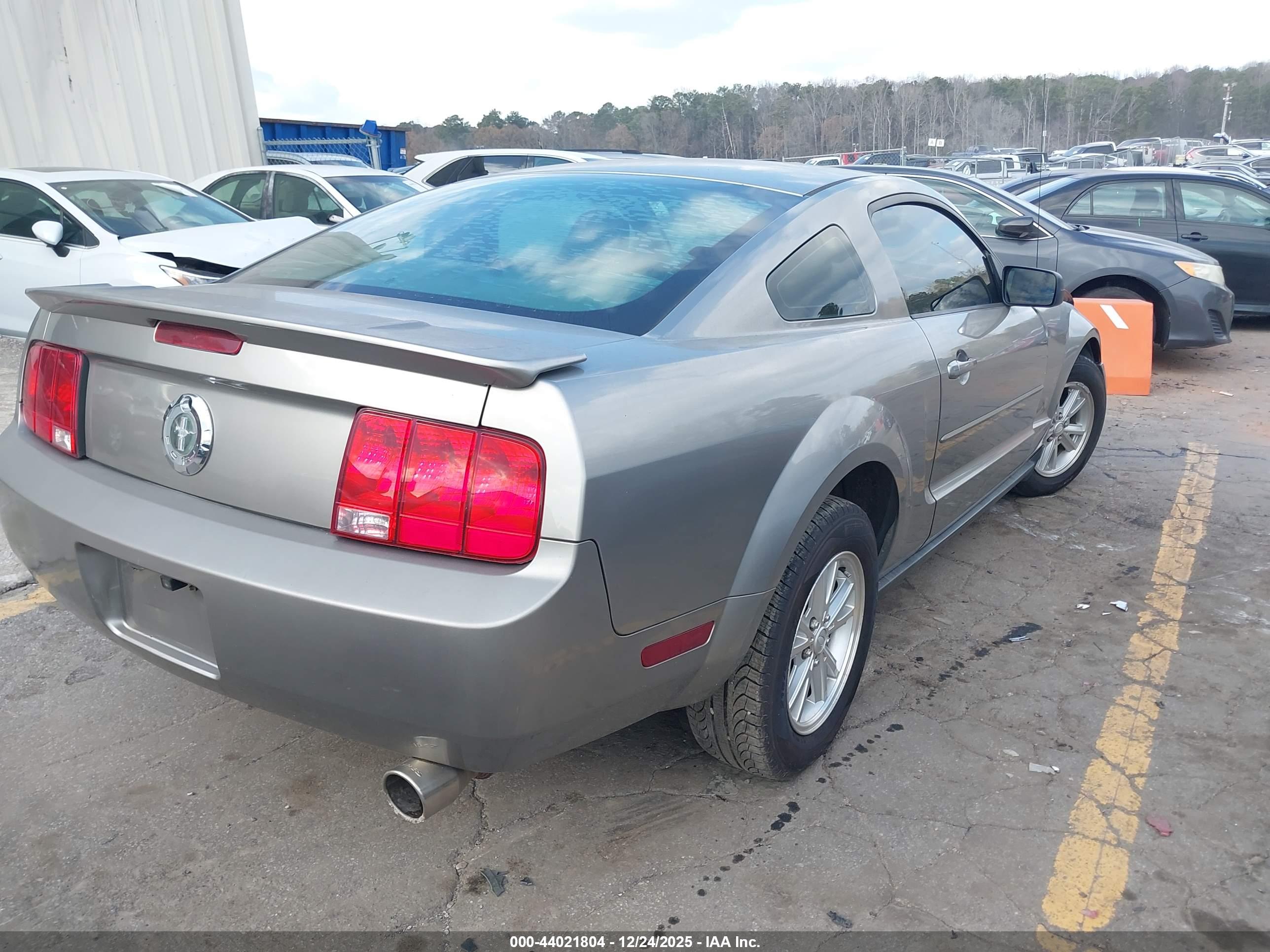 FORD MUSTANG image 4