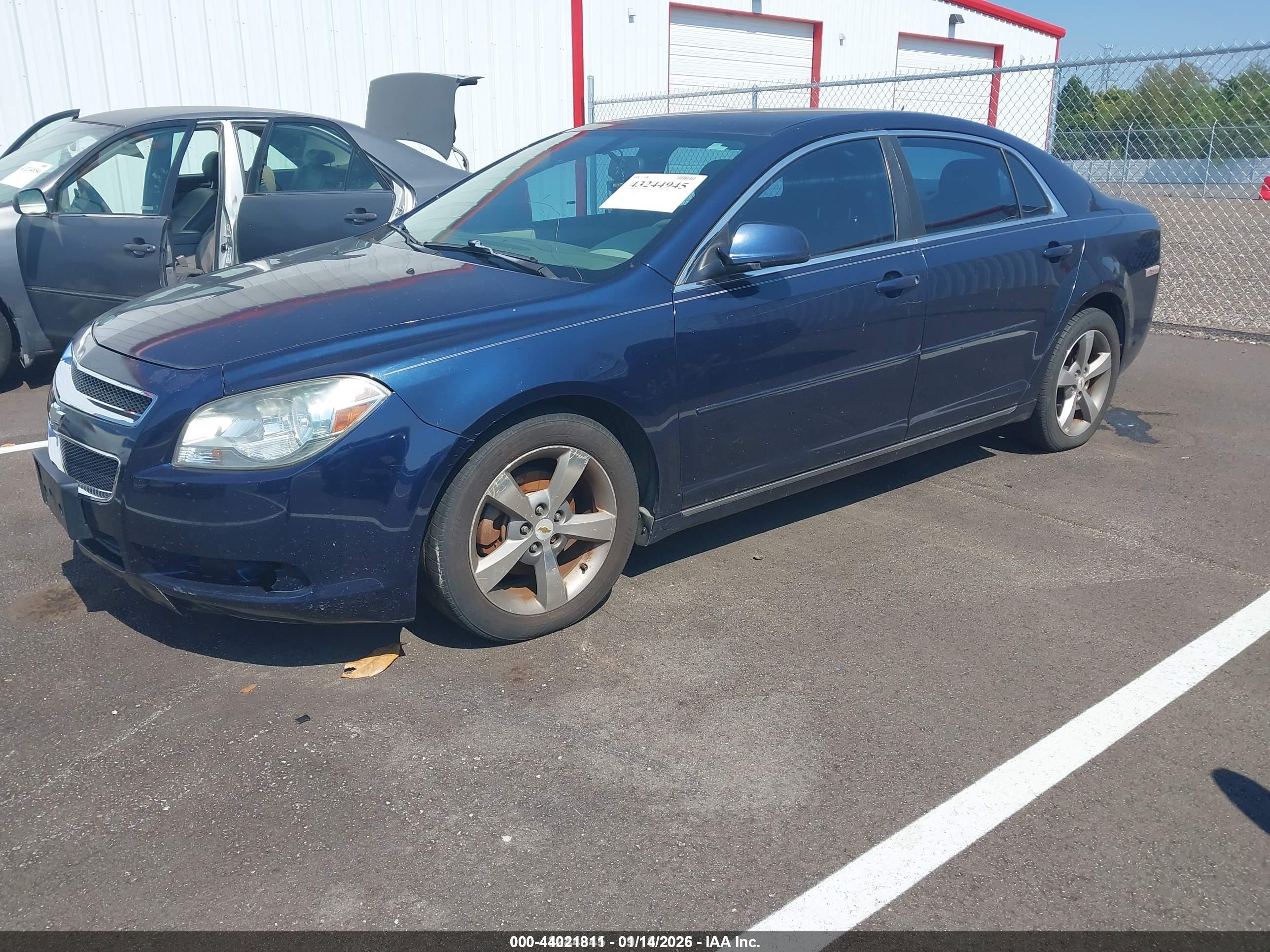 CHEVROLET MALIBU image 2