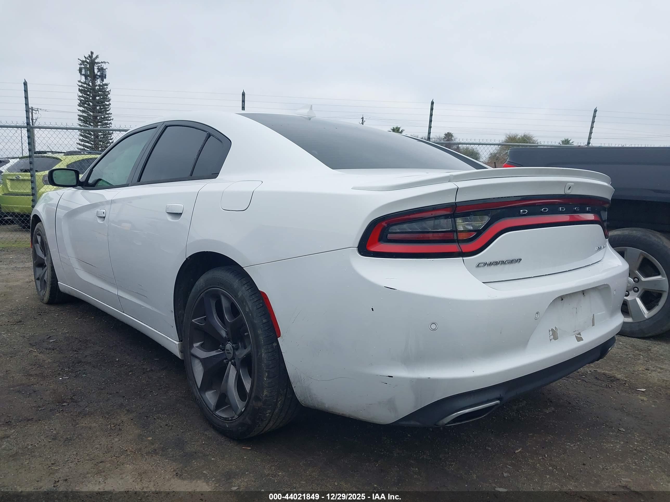DODGE CHARGER image 3