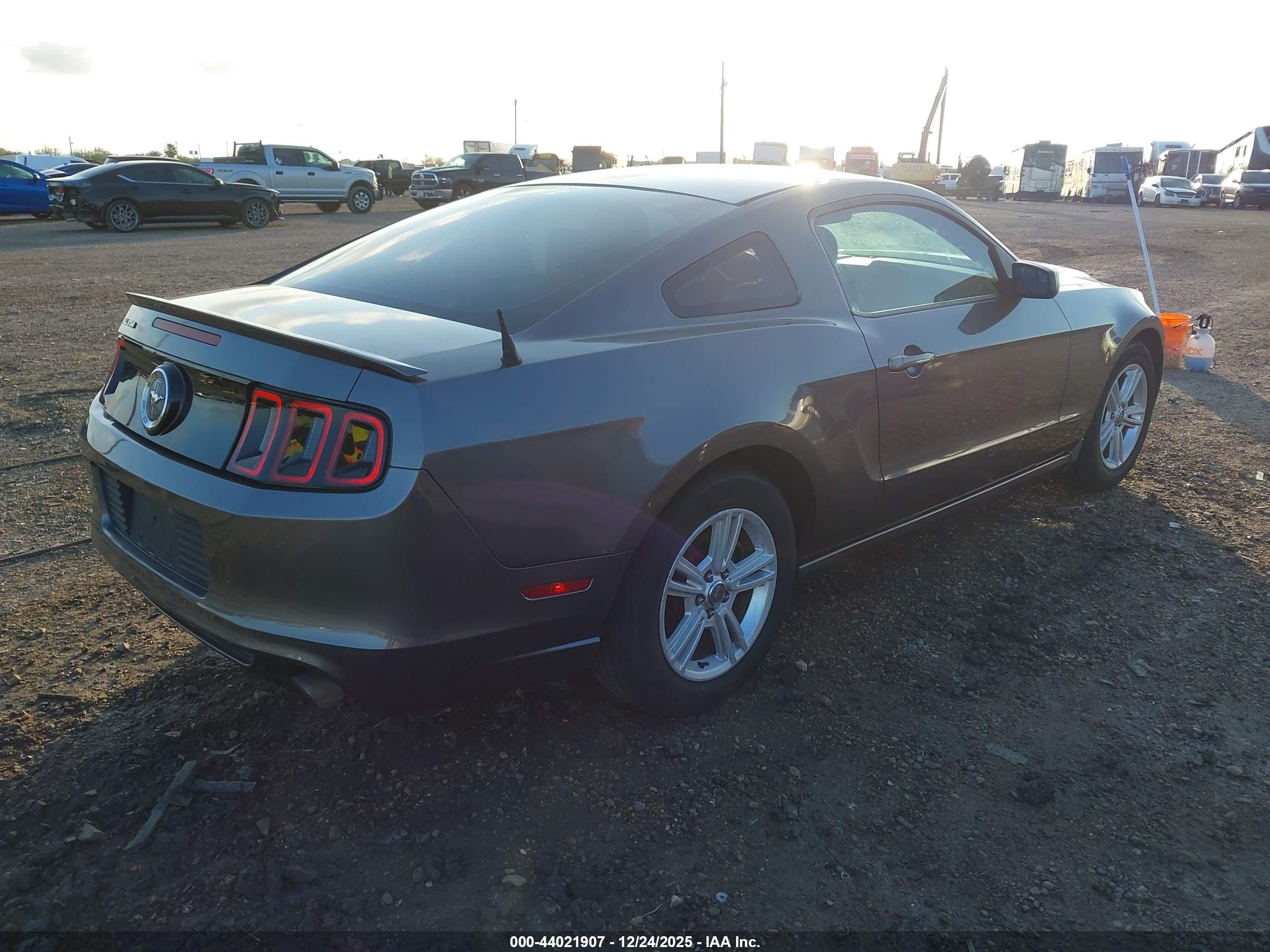FORD MUSTANG image 4