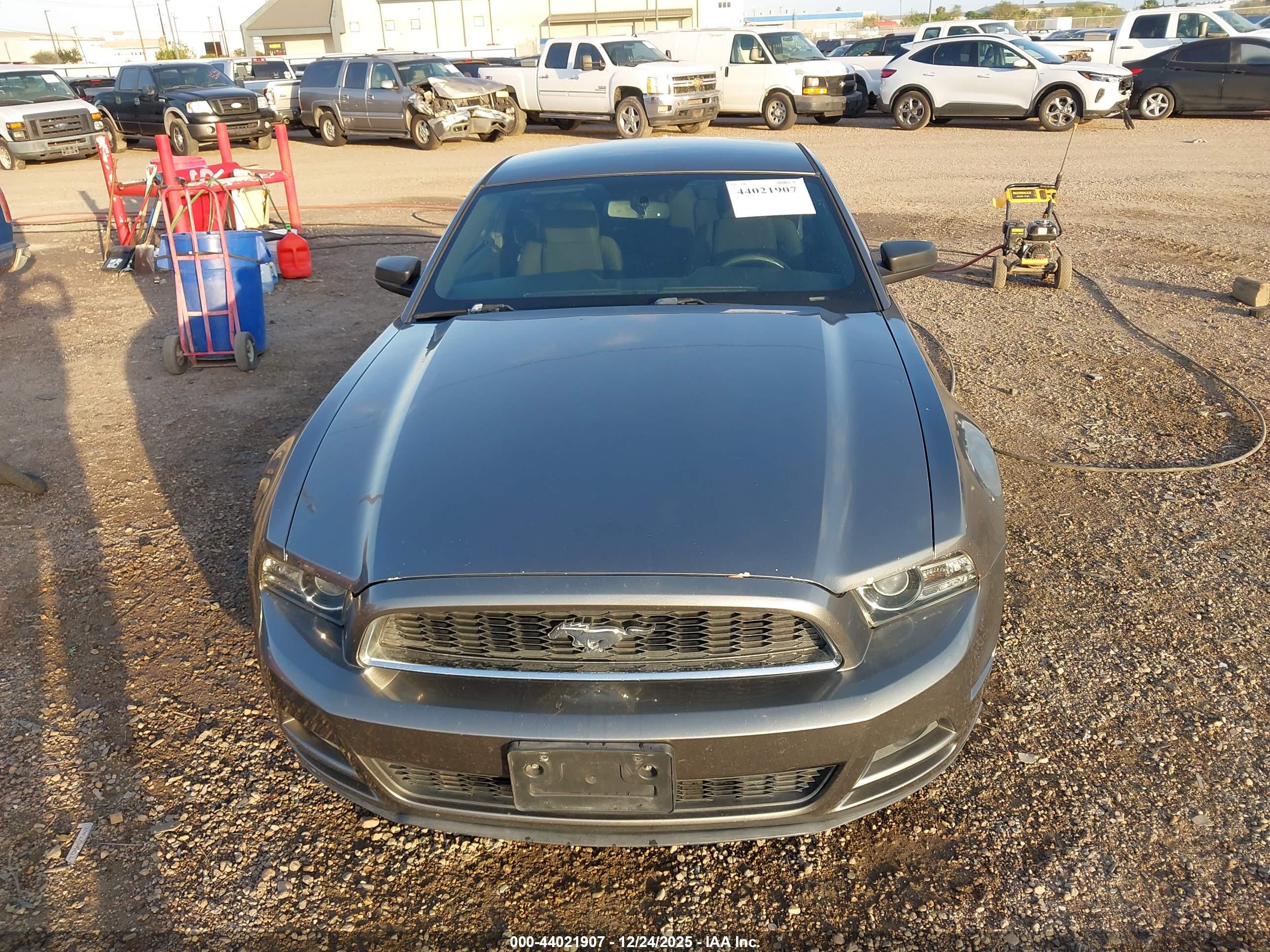 FORD MUSTANG image 6
