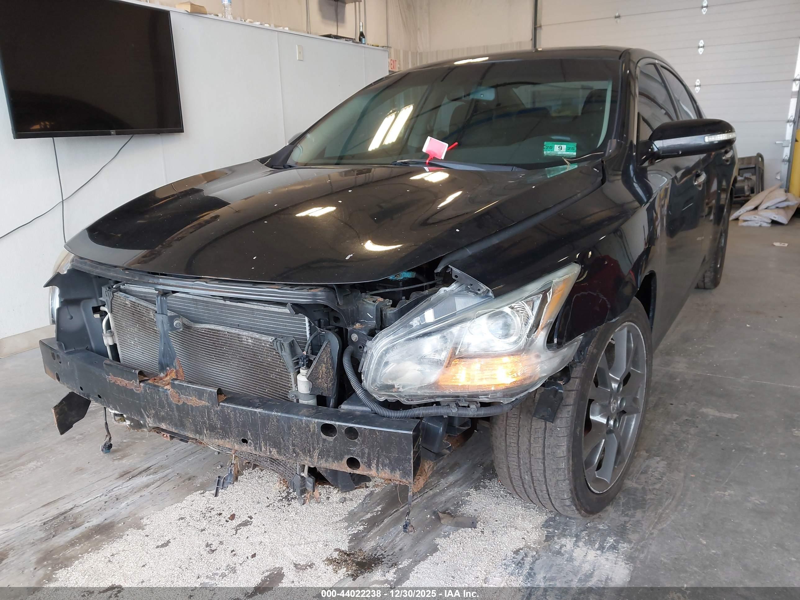 NISSAN MAXIMA image 2