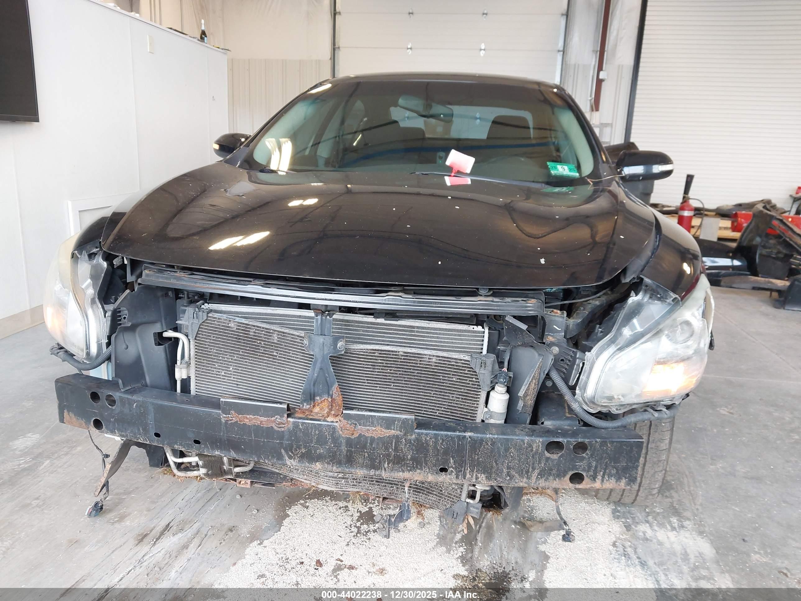 NISSAN MAXIMA image 6
