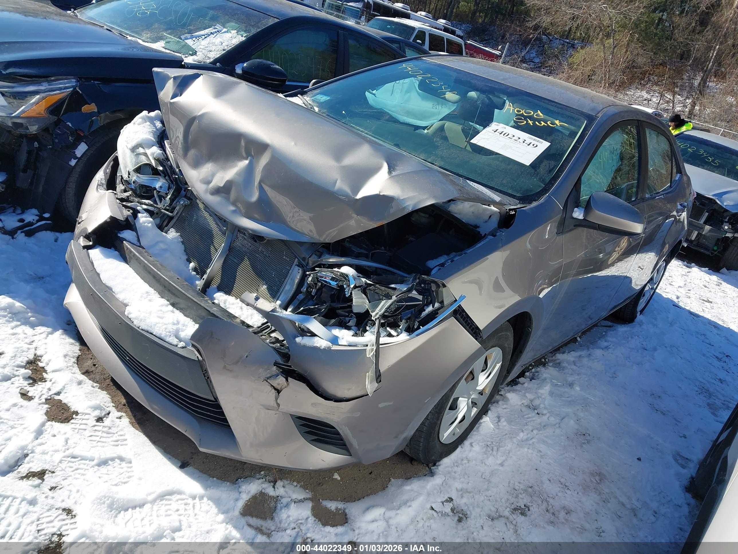 TOYOTA COROLLA image 2