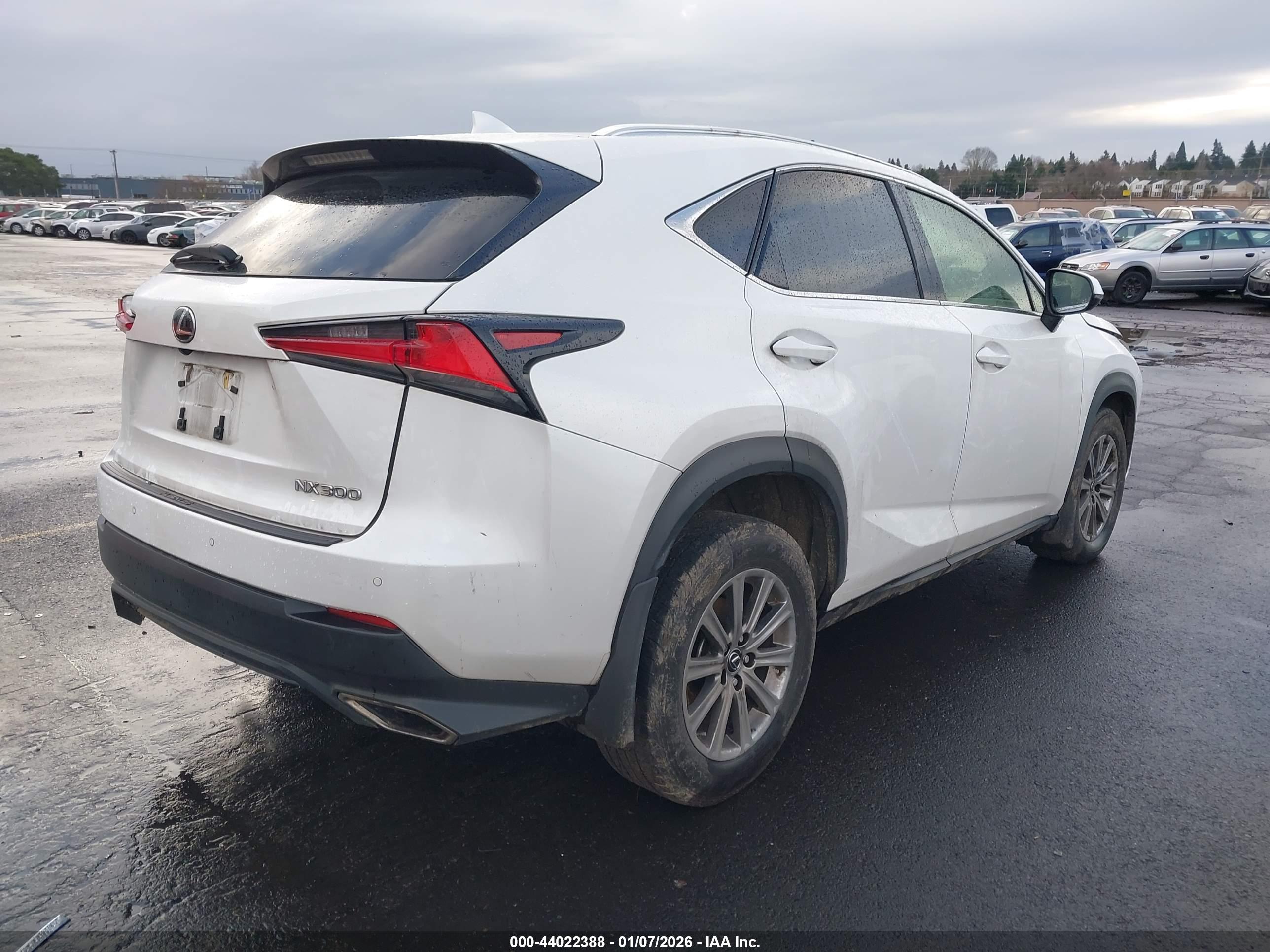 LEXUS NX image 4