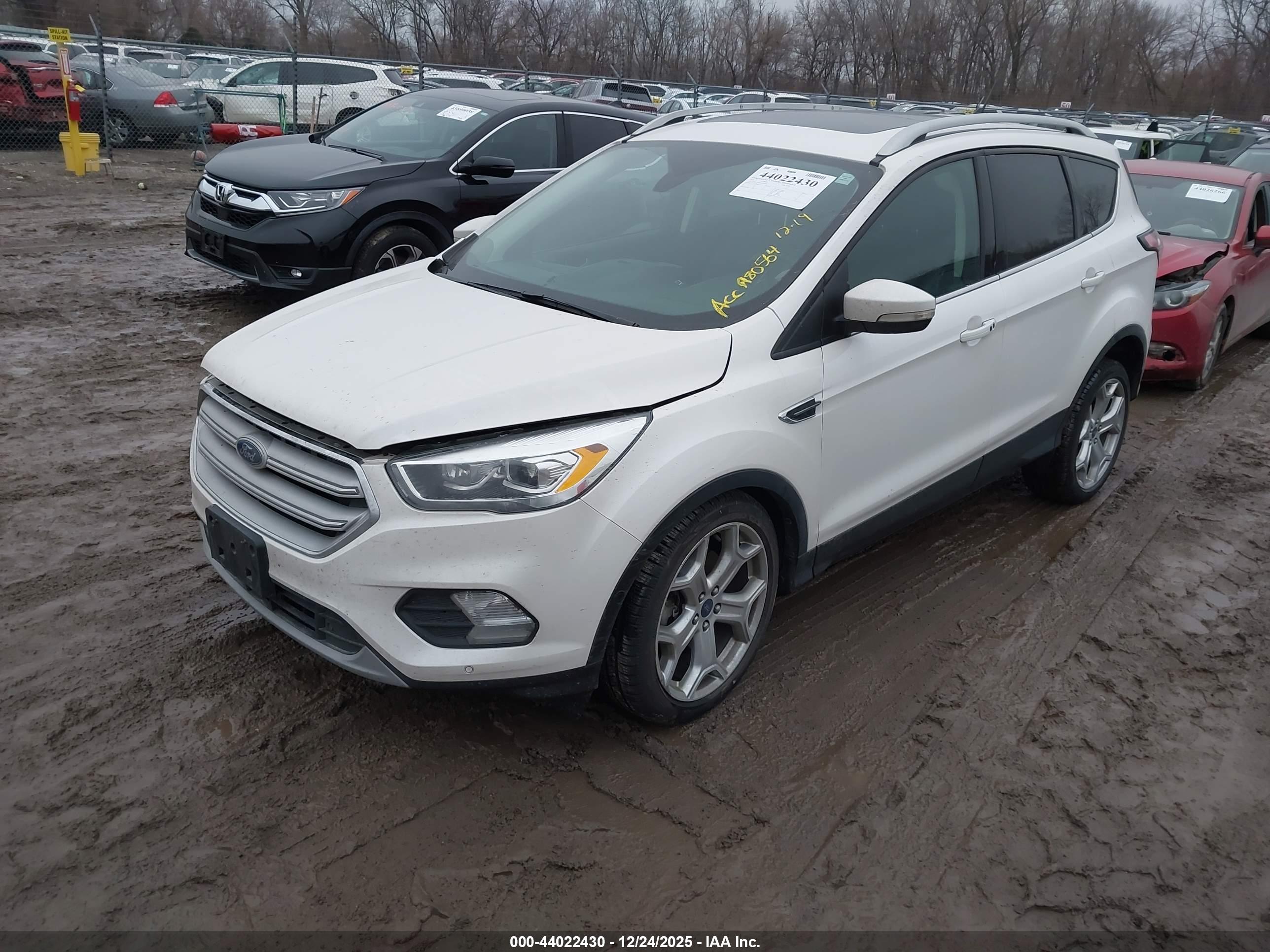FORD ESCAPE image 2