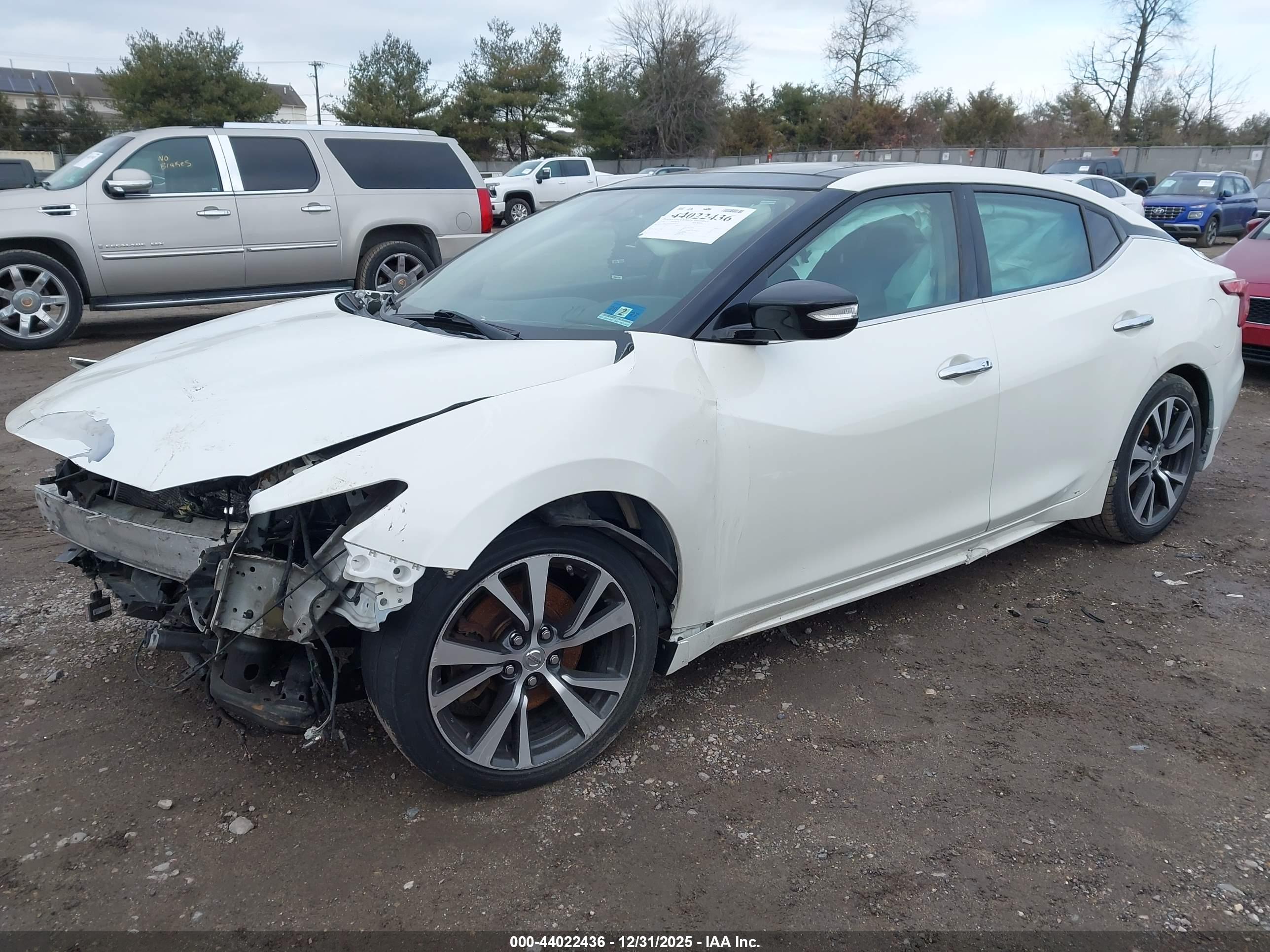 NISSAN MAXIMA image 2