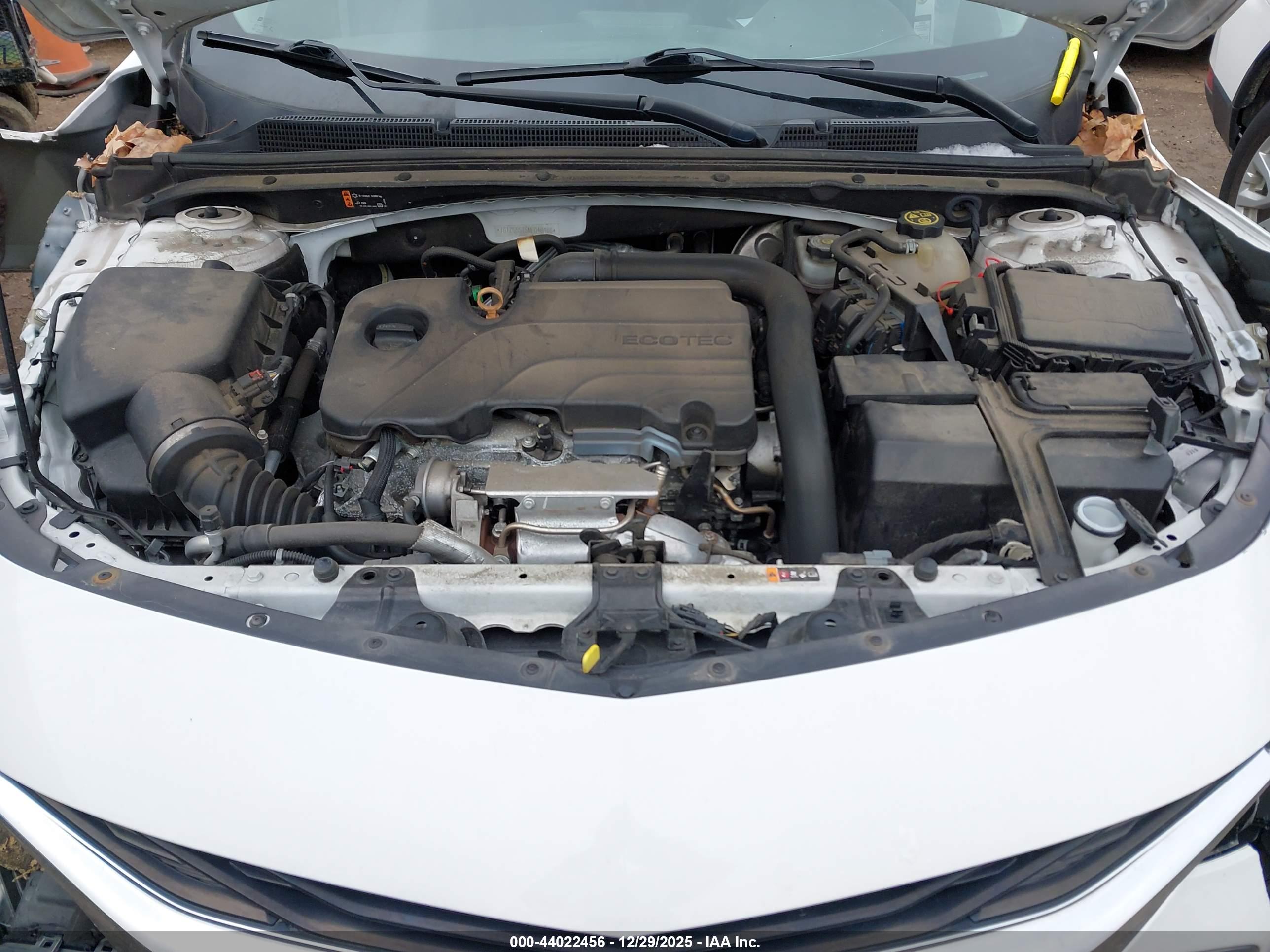 CHEVROLET MALIBU image 10
