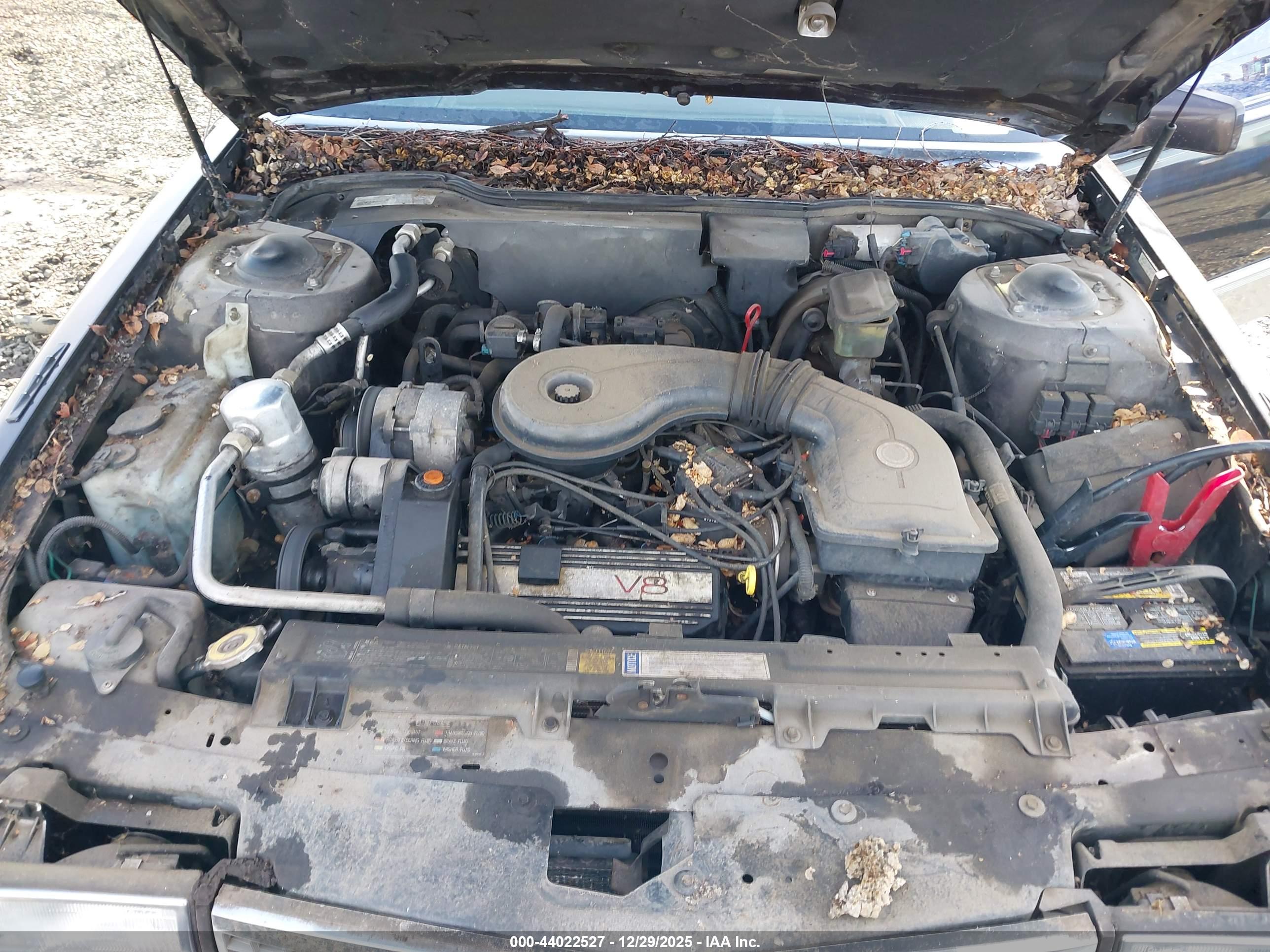 CADILLAC DEVILLE image 10