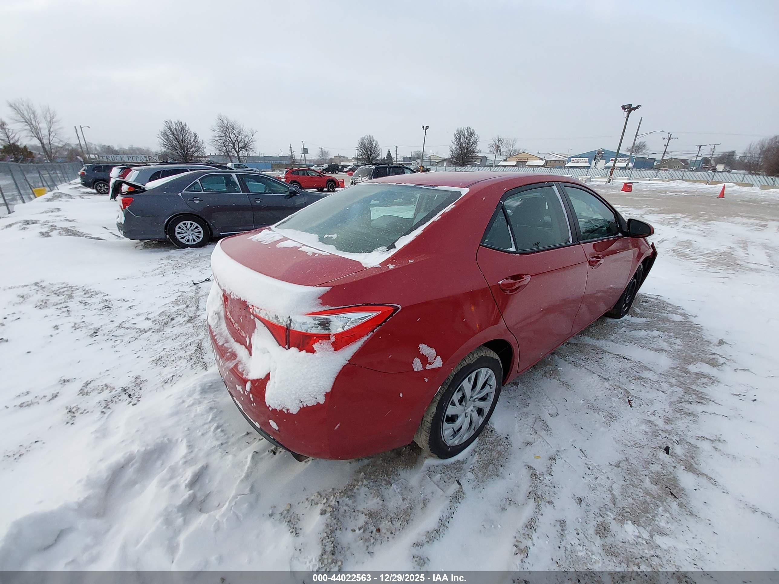 TOYOTA COROLLA image 4