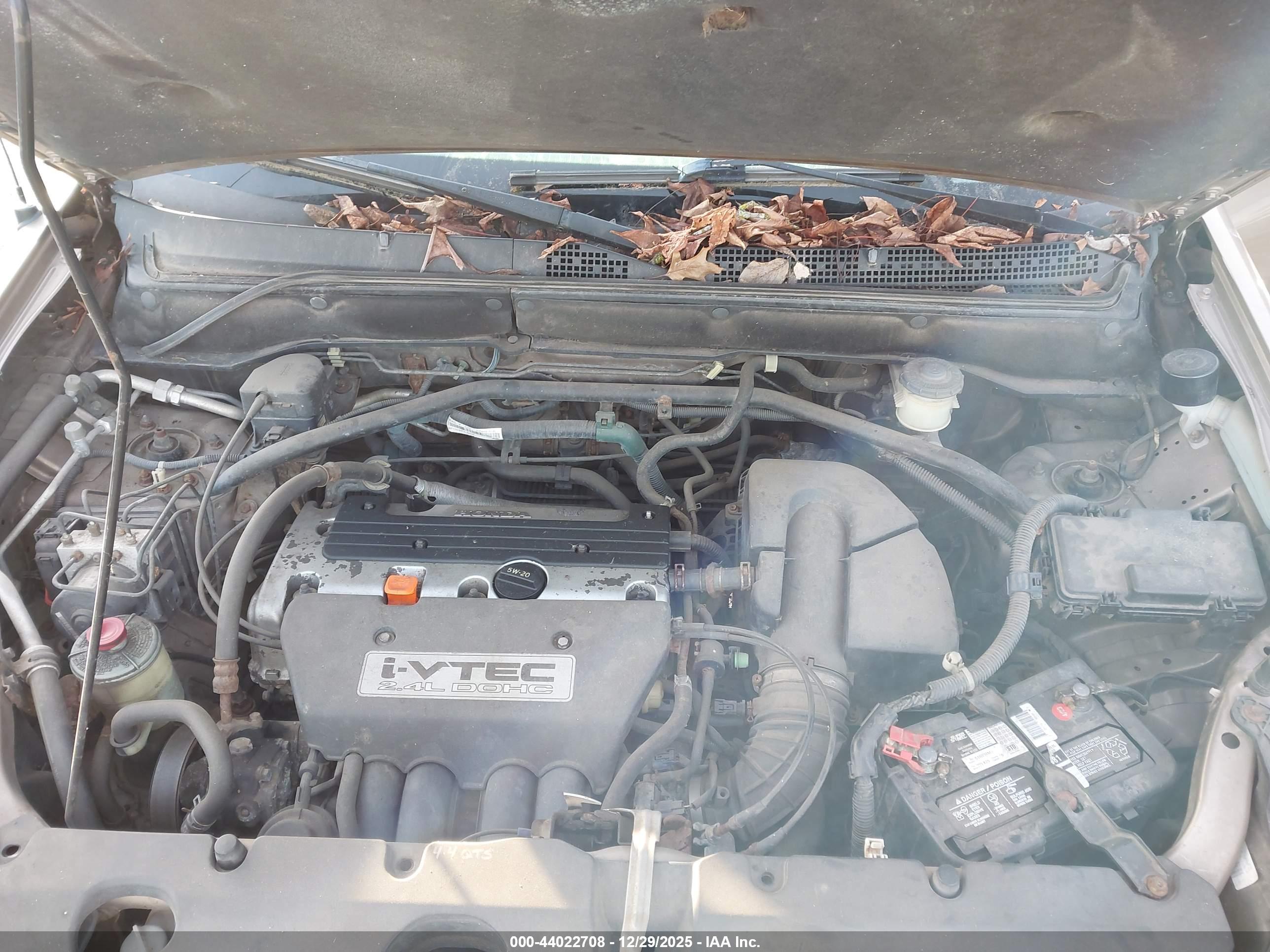 HONDA CR-V image 10
