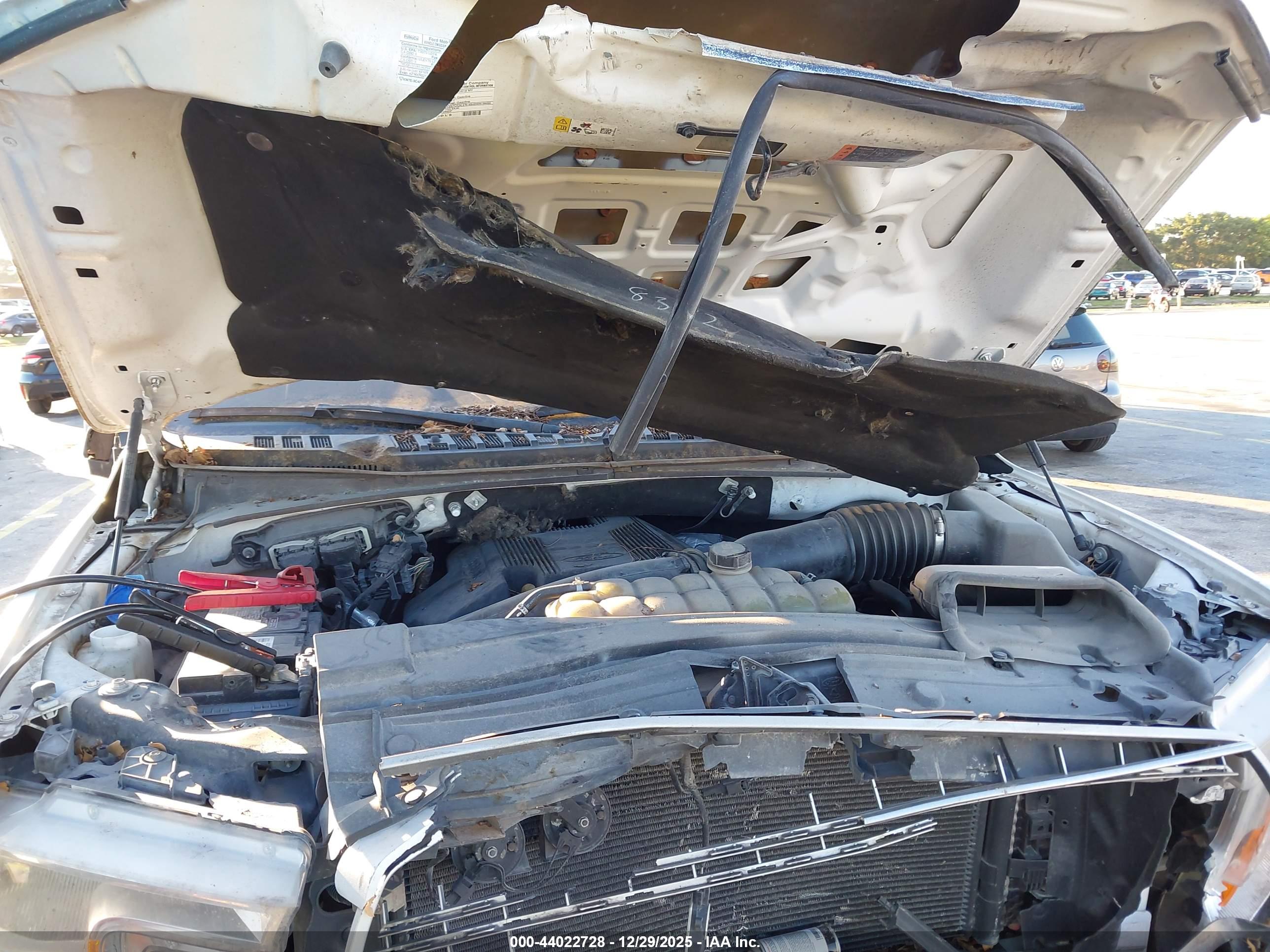 FORD F-150 image 10
