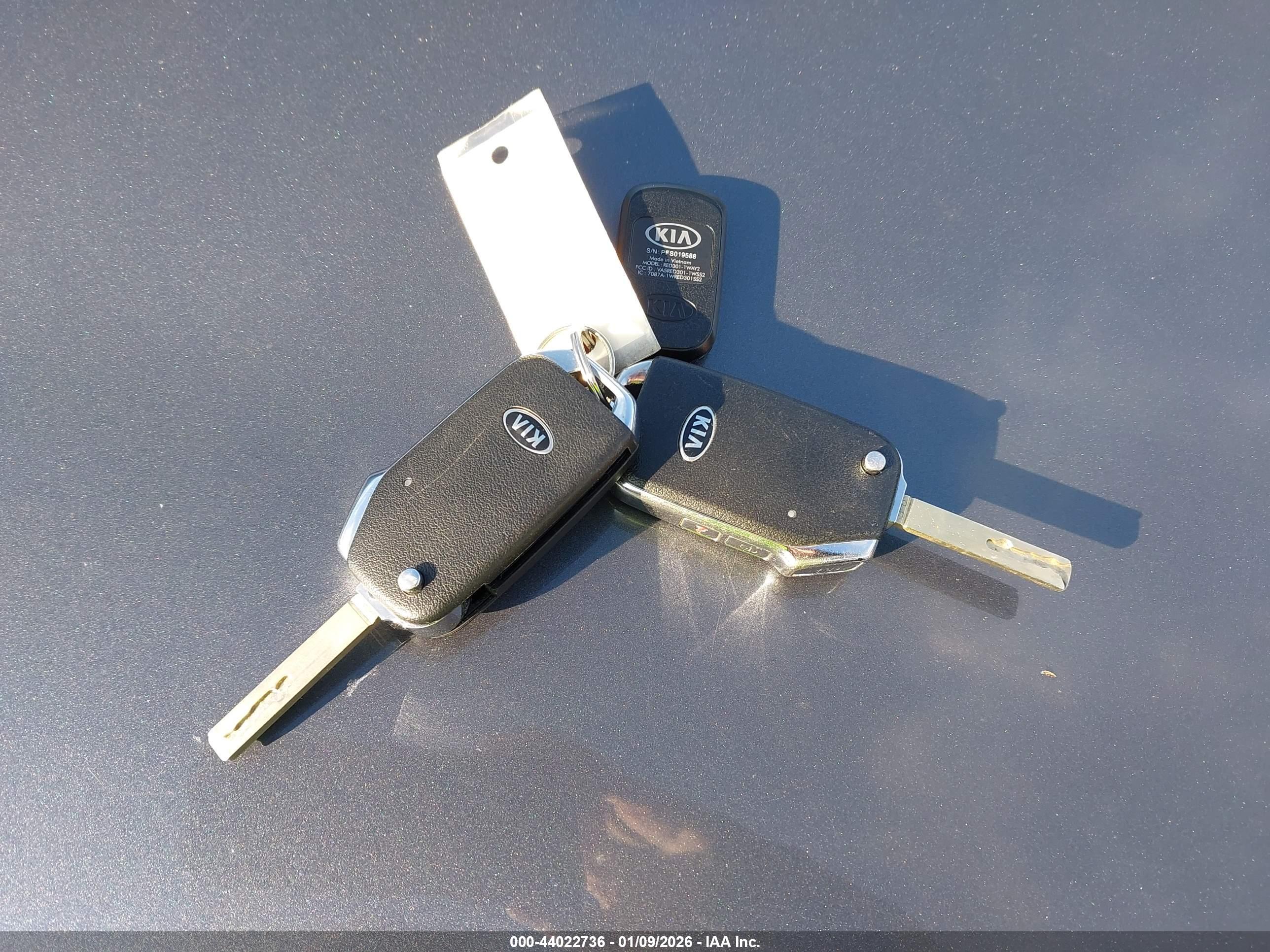 KIA SELTOS image 11