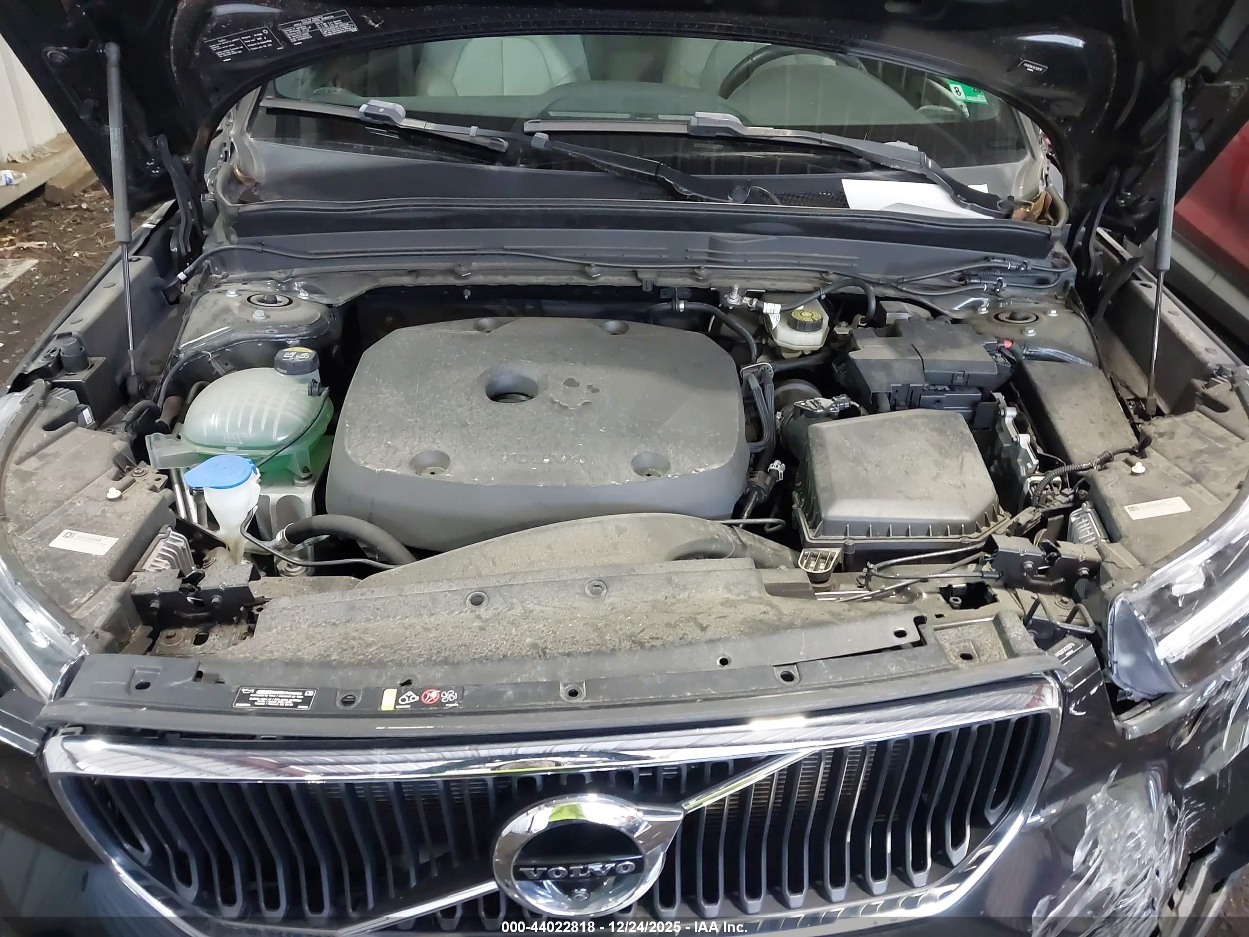 VOLVO XC40 image 10
