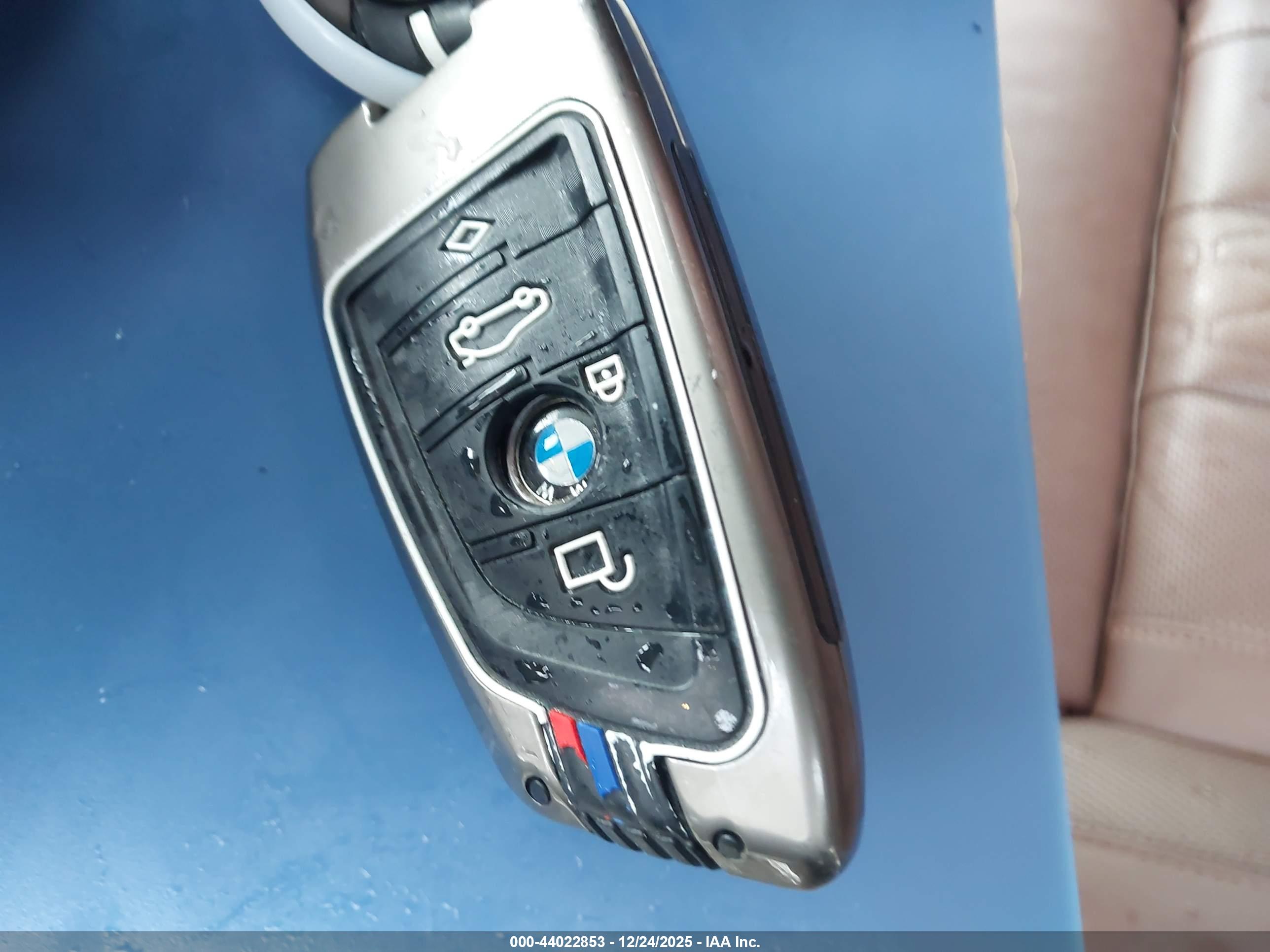 BMW X7 image 11