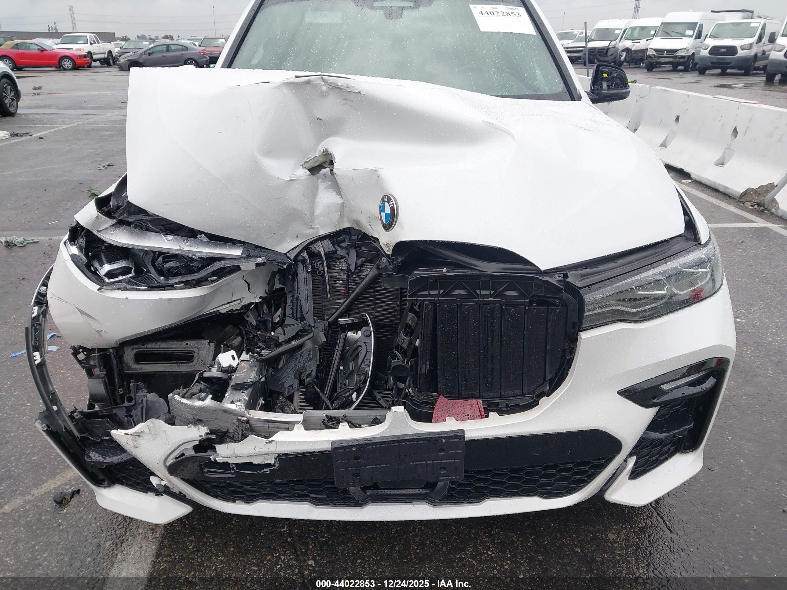 BMW X7 image 6