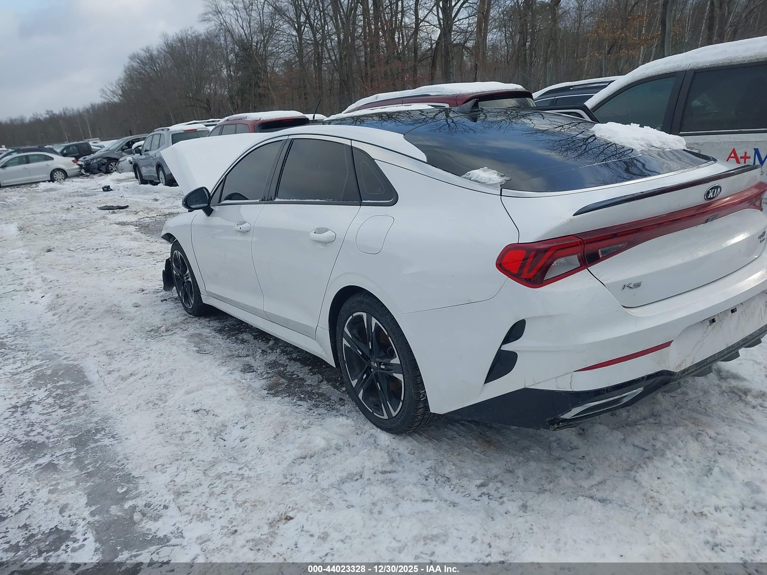 KIA K5 image 3