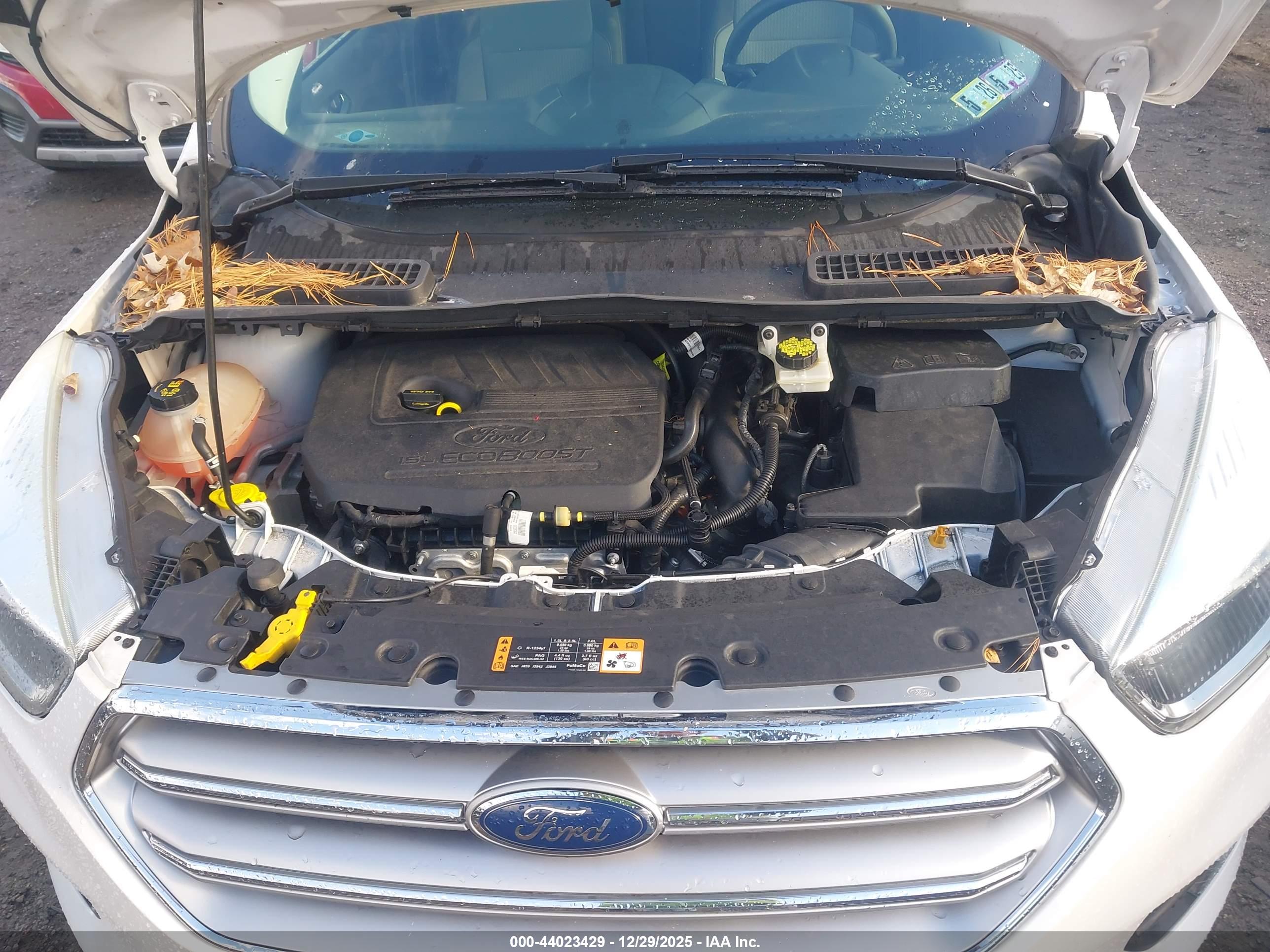 FORD ESCAPE image 10