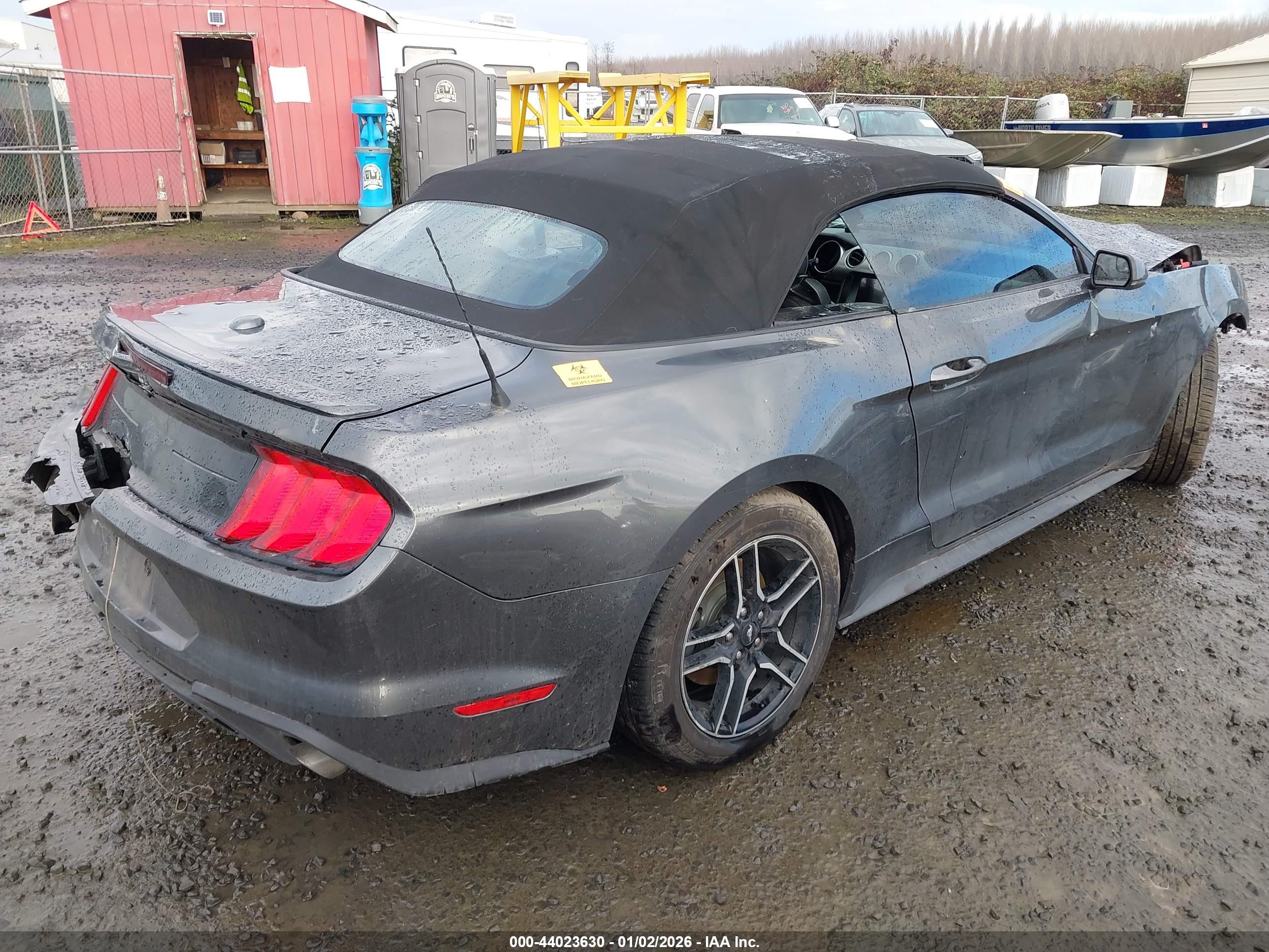 FORD MUSTANG image 4