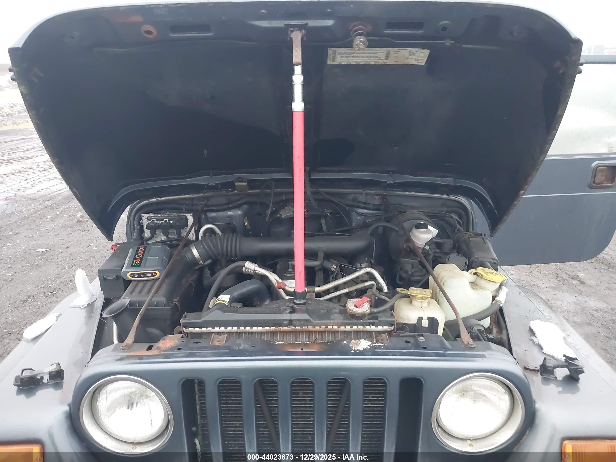 JEEP WRANGLER image 10