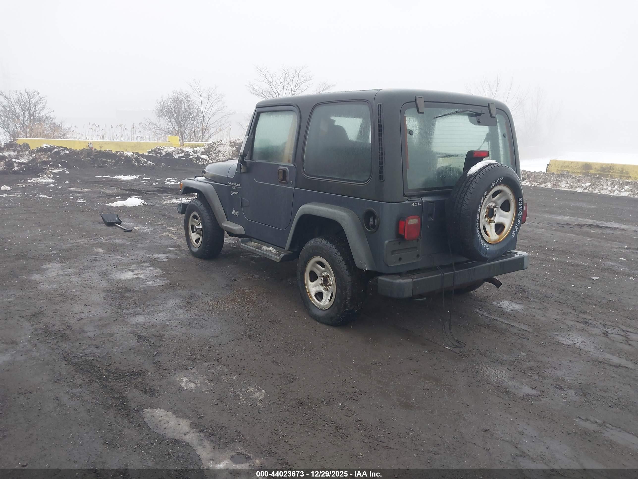JEEP WRANGLER image 3