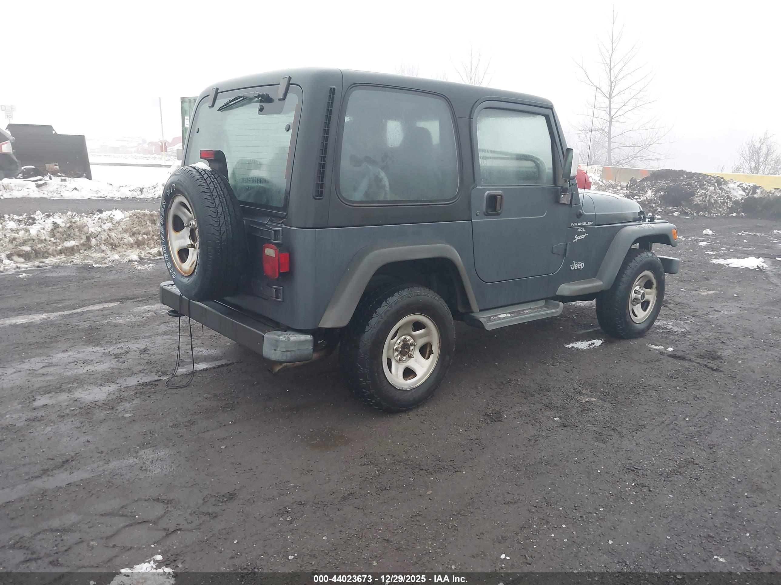 JEEP WRANGLER image 4