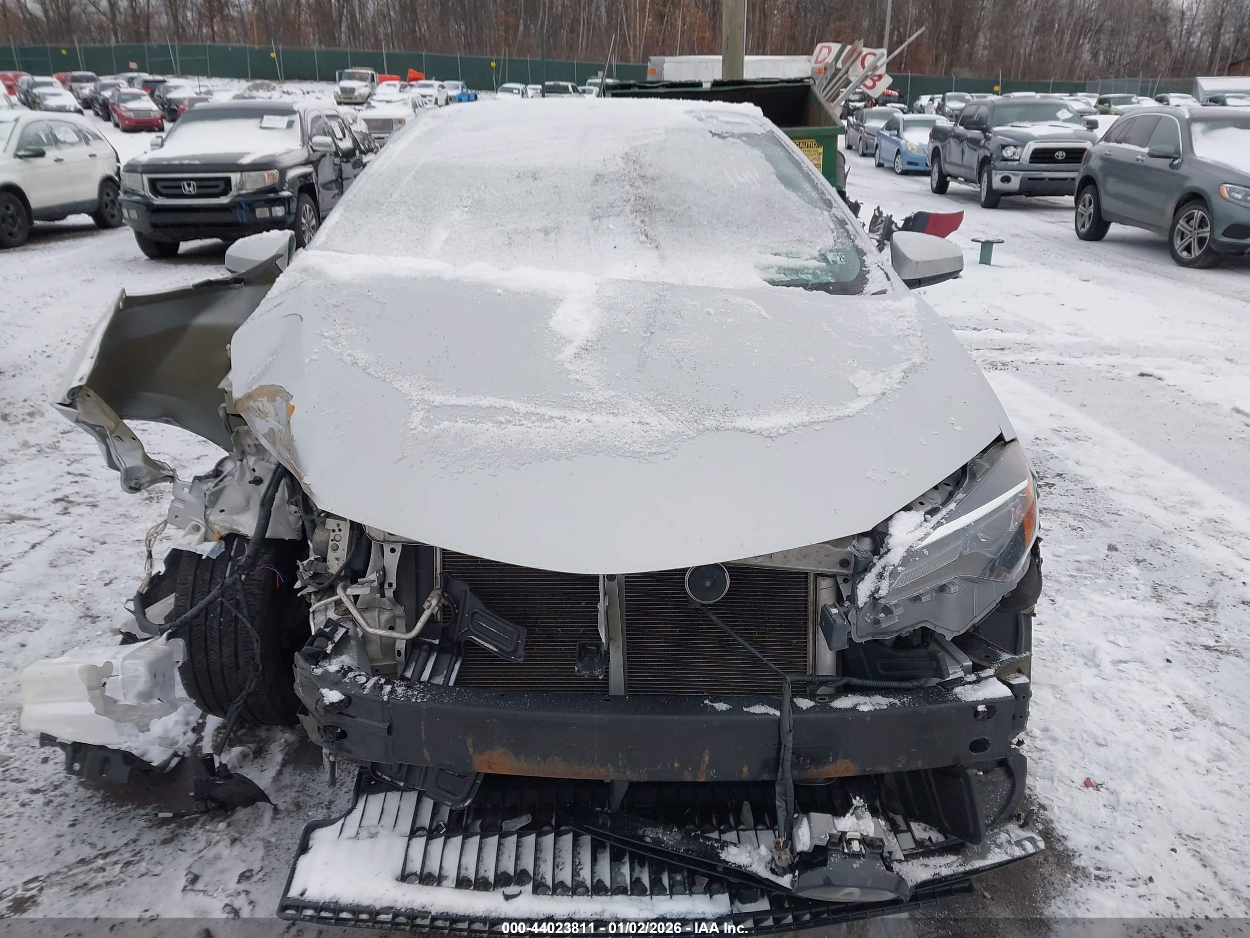 TOYOTA COROLLA image 6