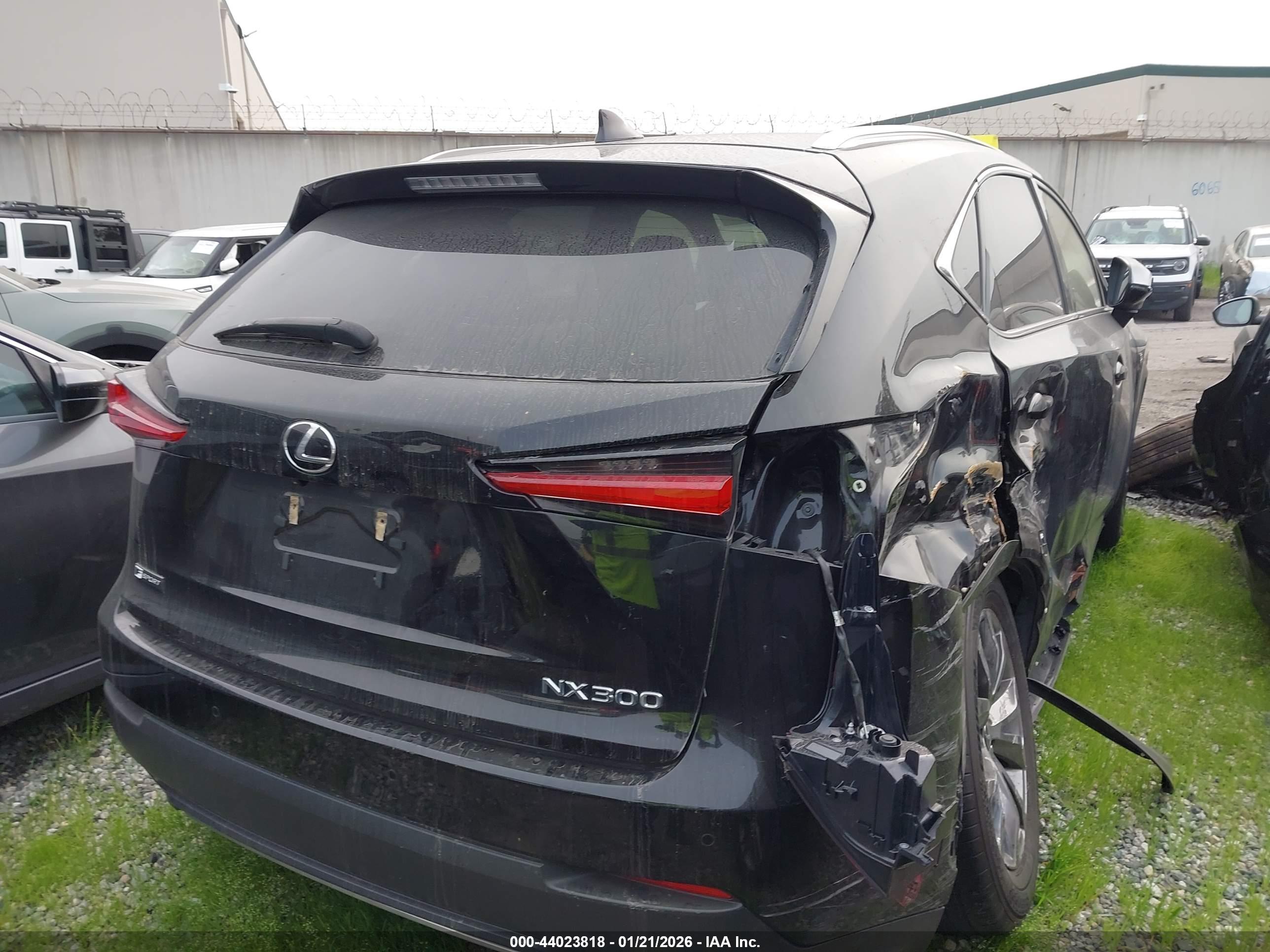 LEXUS NX image 4
