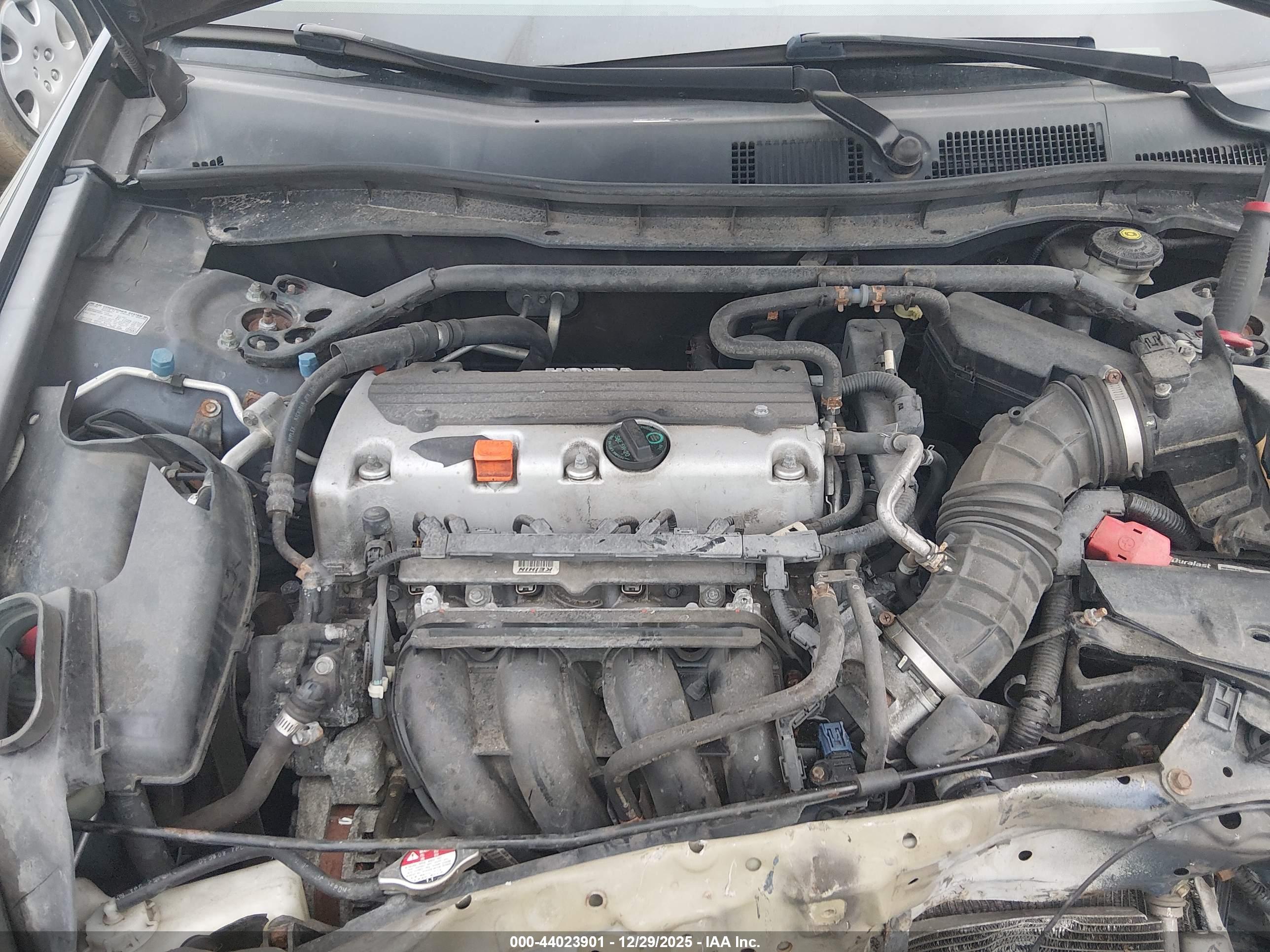 HONDA ACCORD image 10