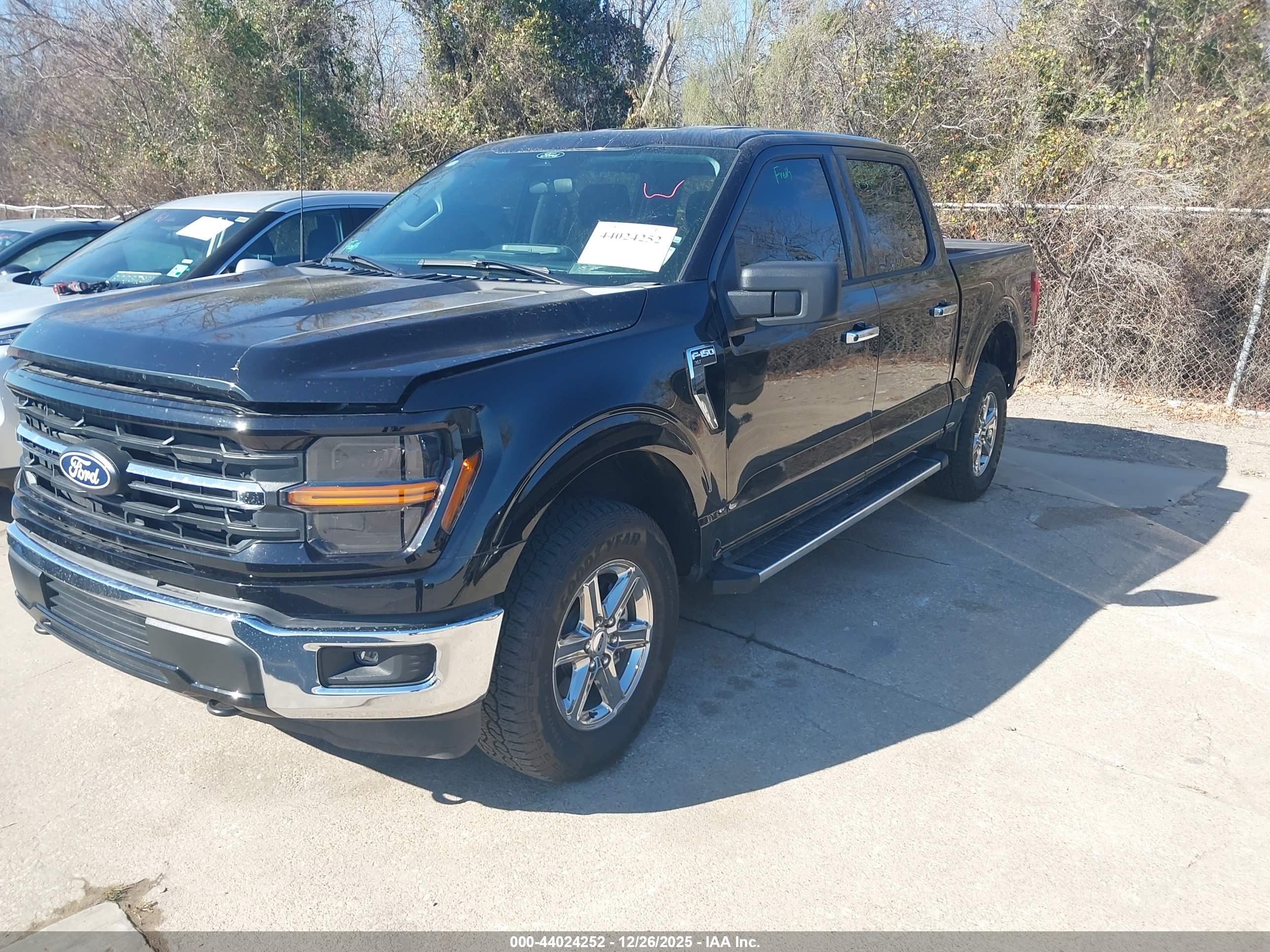 FORD F-150 image 2