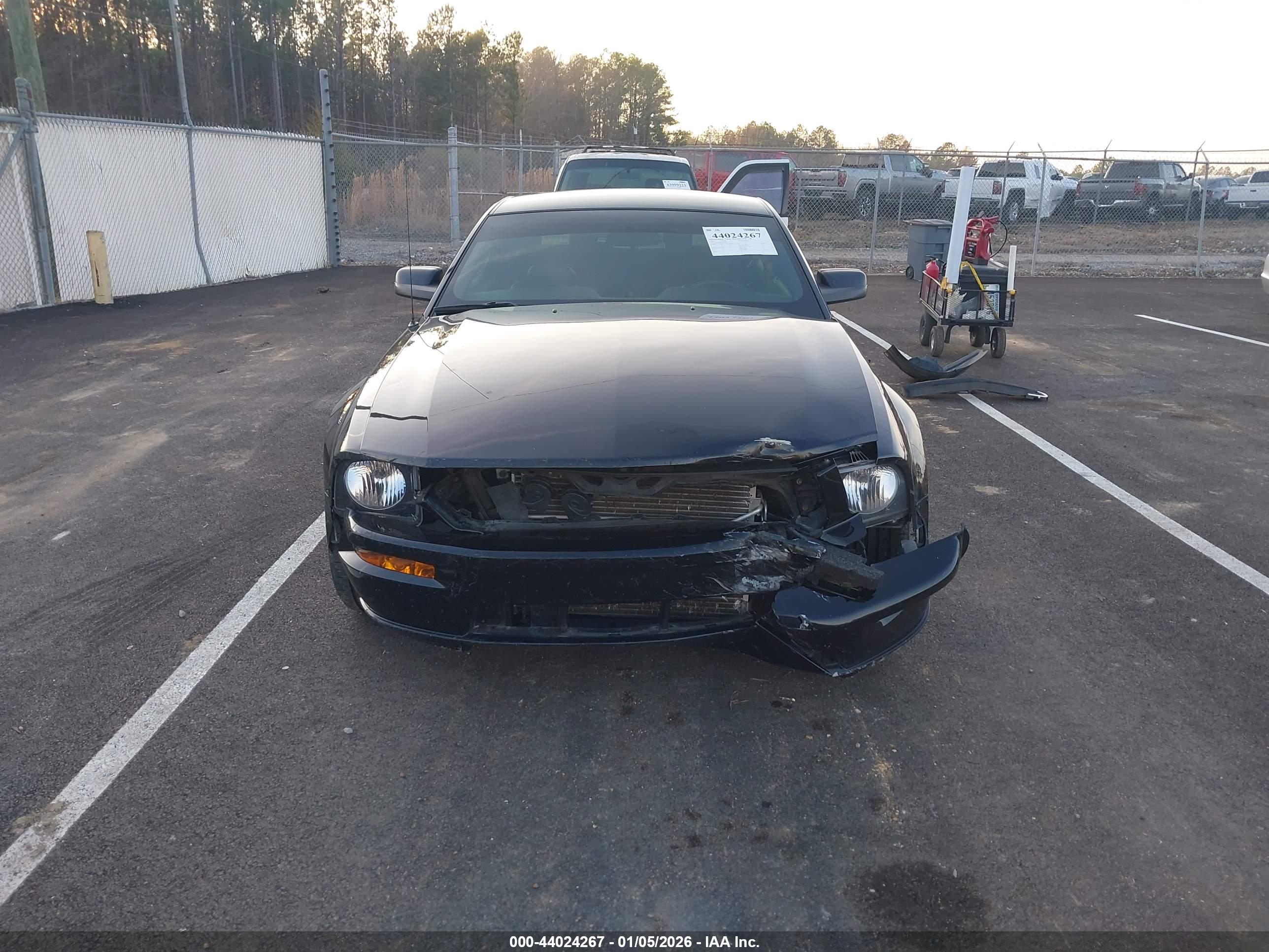 FORD MUSTANG image 6