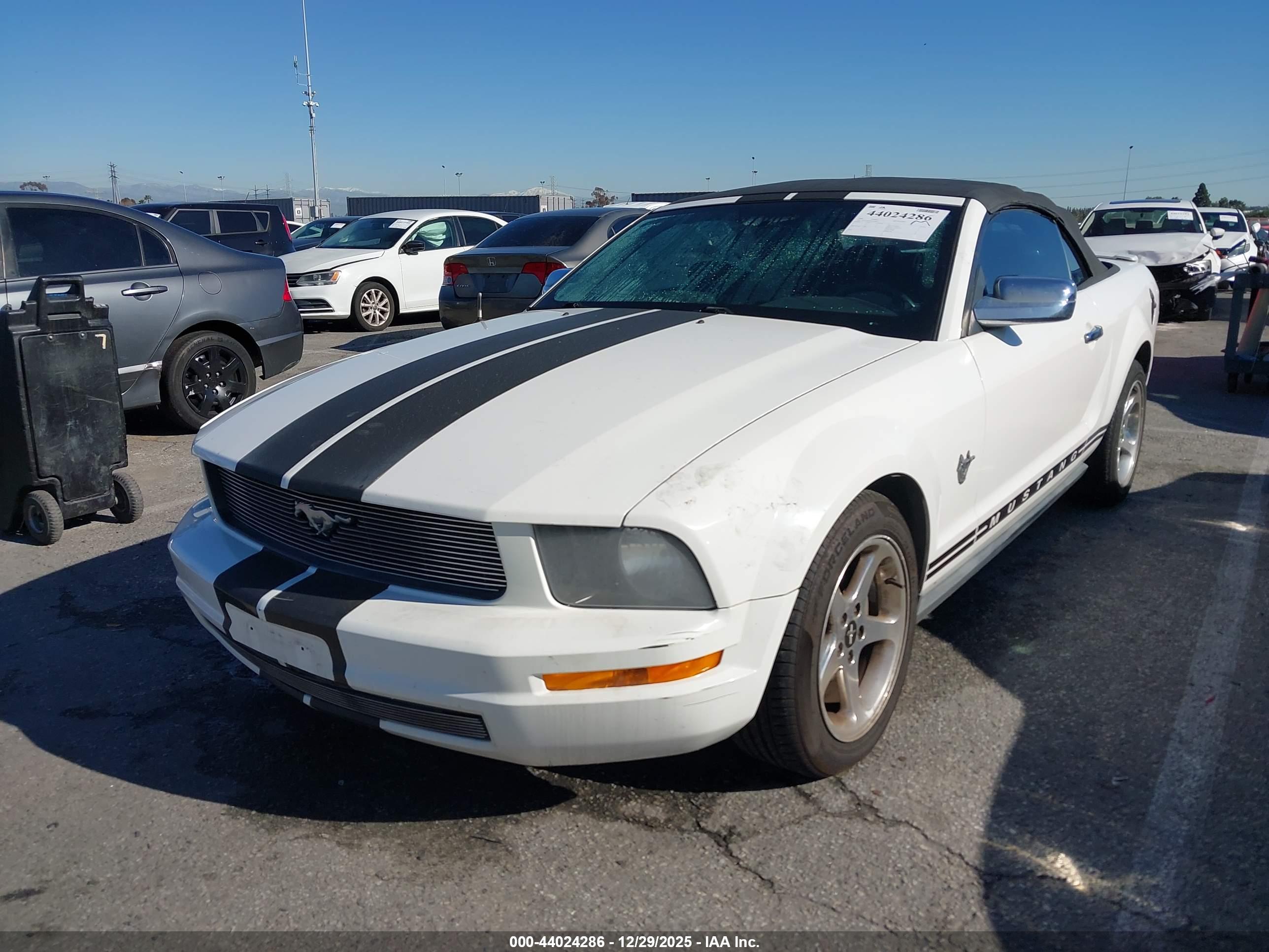 FORD MUSTANG image 2