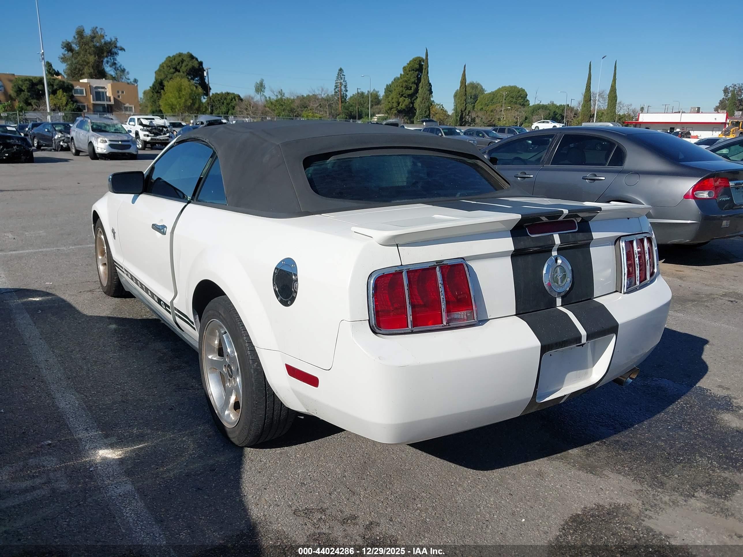 FORD MUSTANG image 3