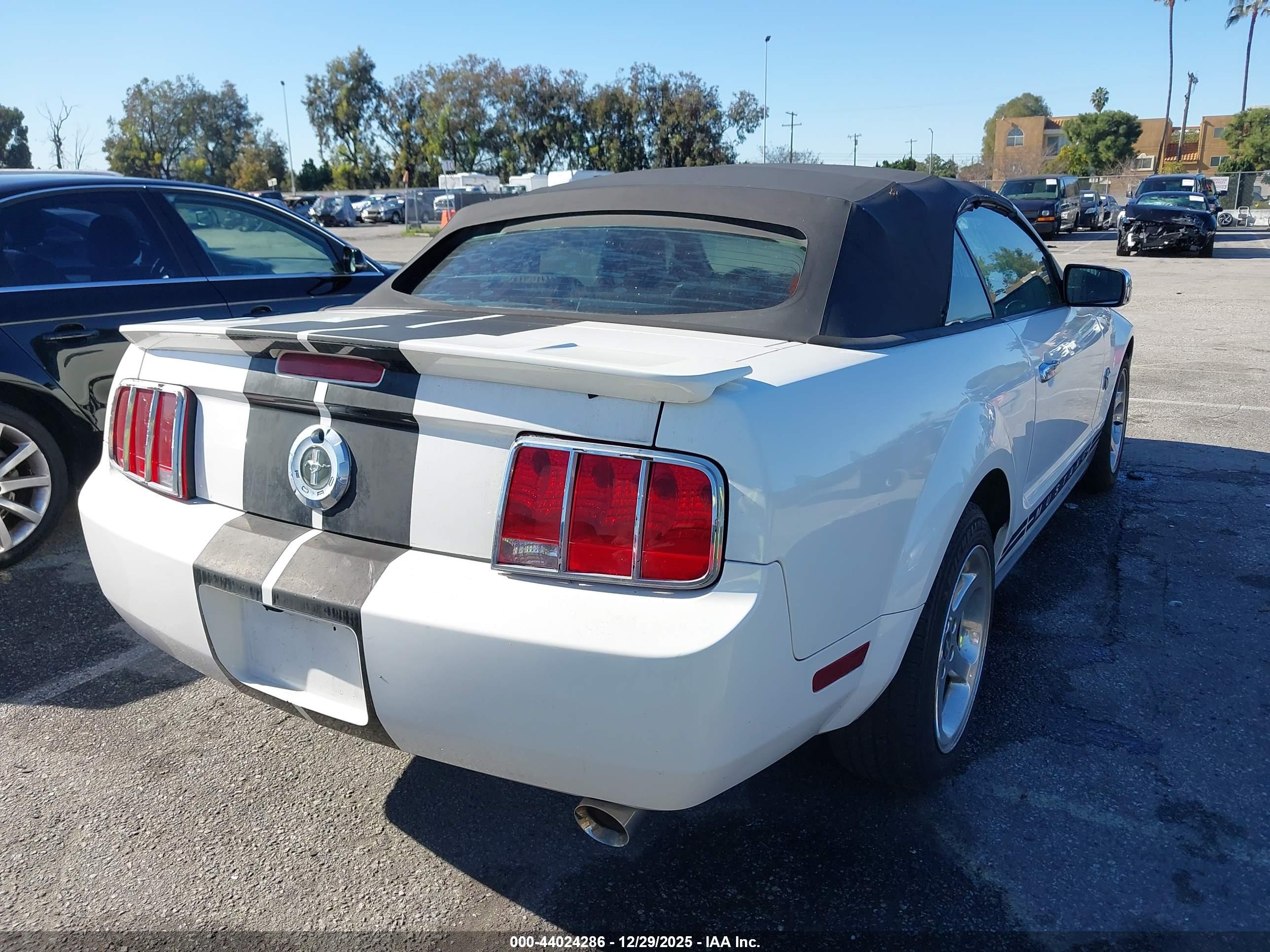 FORD MUSTANG image 4
